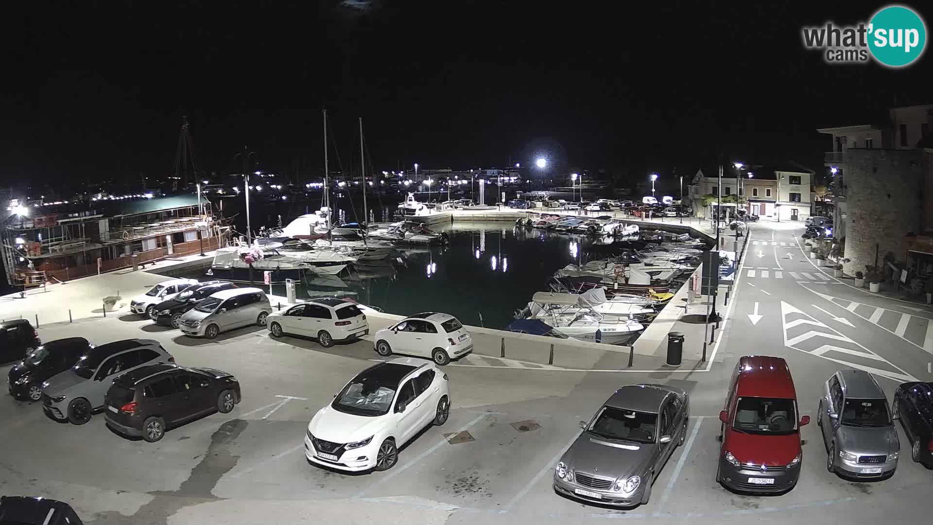 Novigrad | Porporela marina