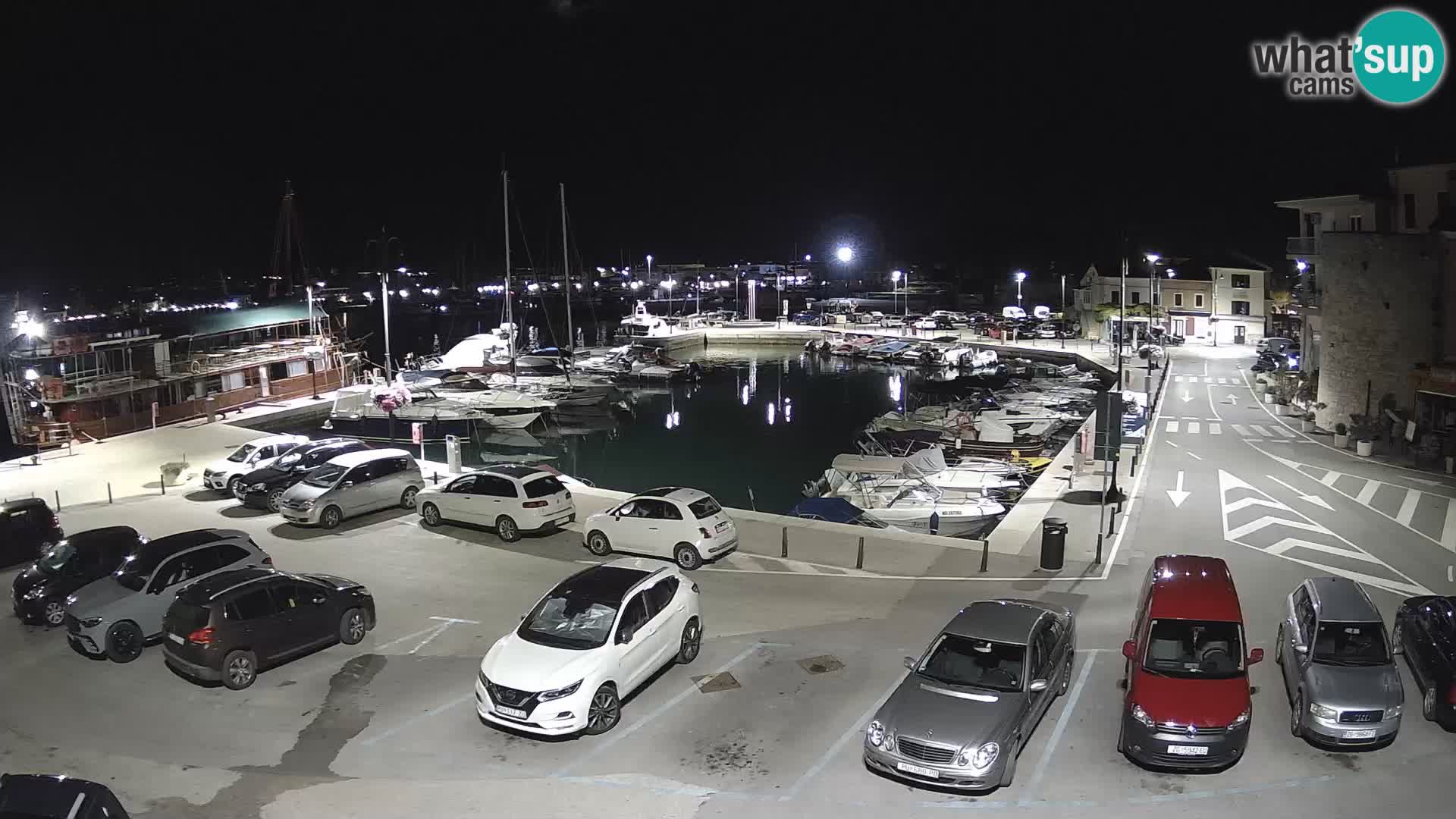 Novigrad | Porporela marina