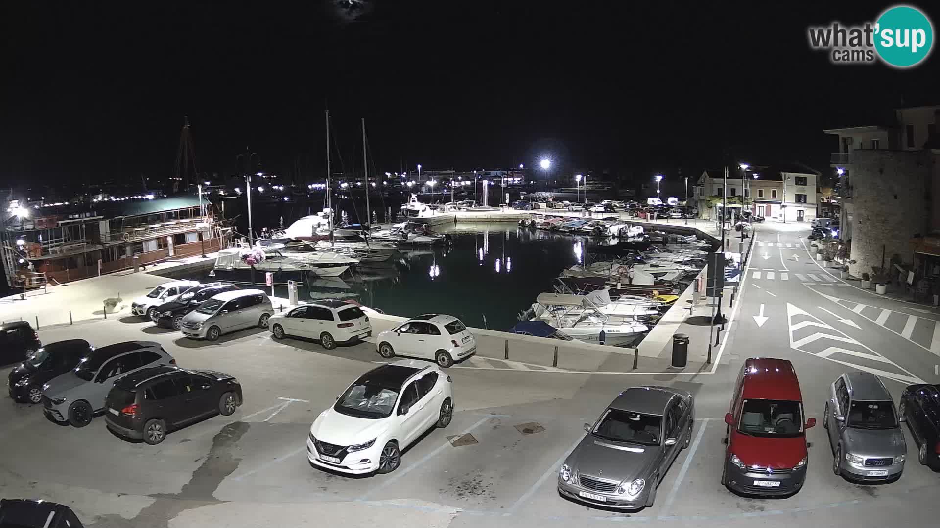 Novigrad | Porporela marina