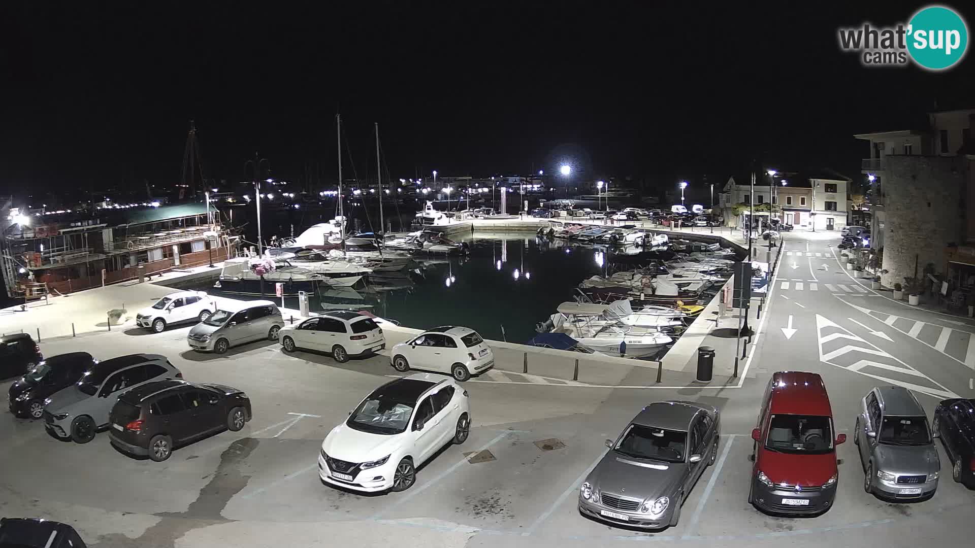 Novigrad | Porporela marina