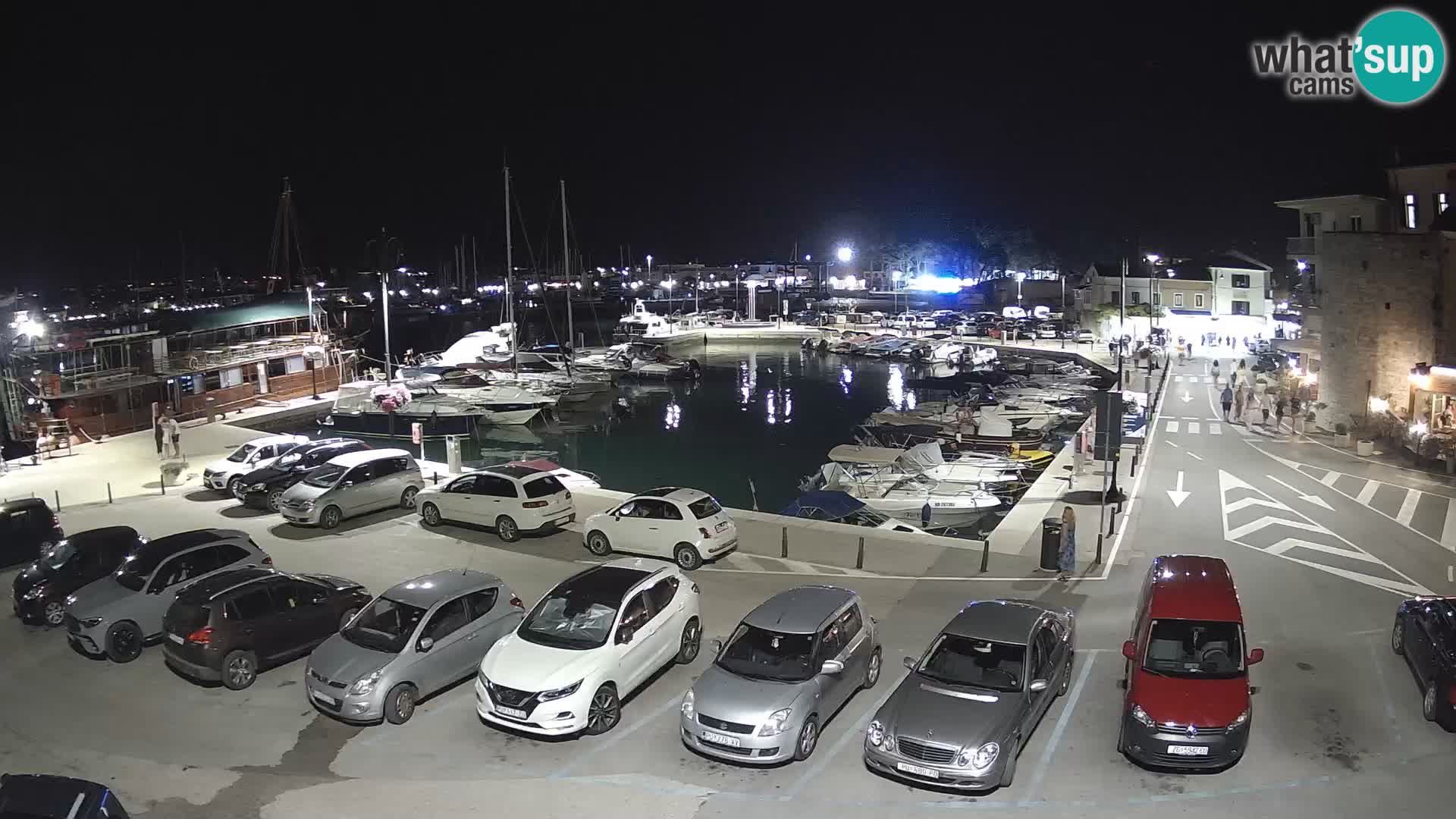 Novigrad | Porporela marina
