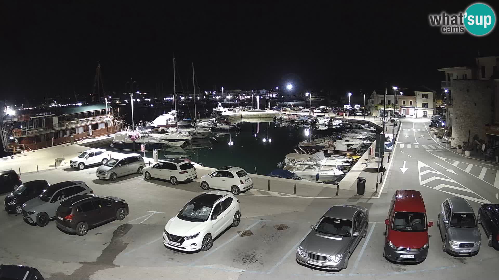 Novigrad | Porporela marina