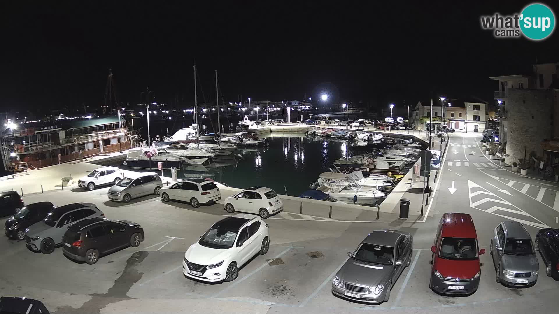 Novigrad | Porporela marina