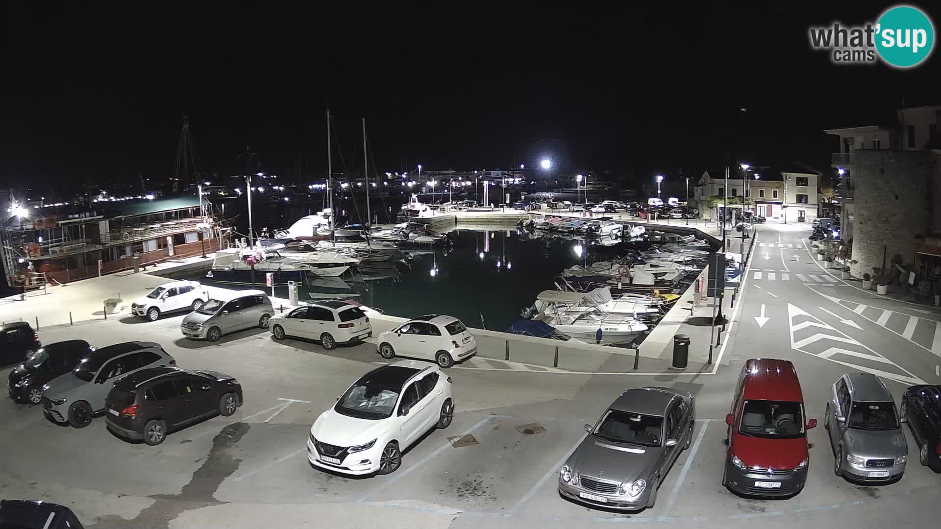 Novigrad | Porporela marina