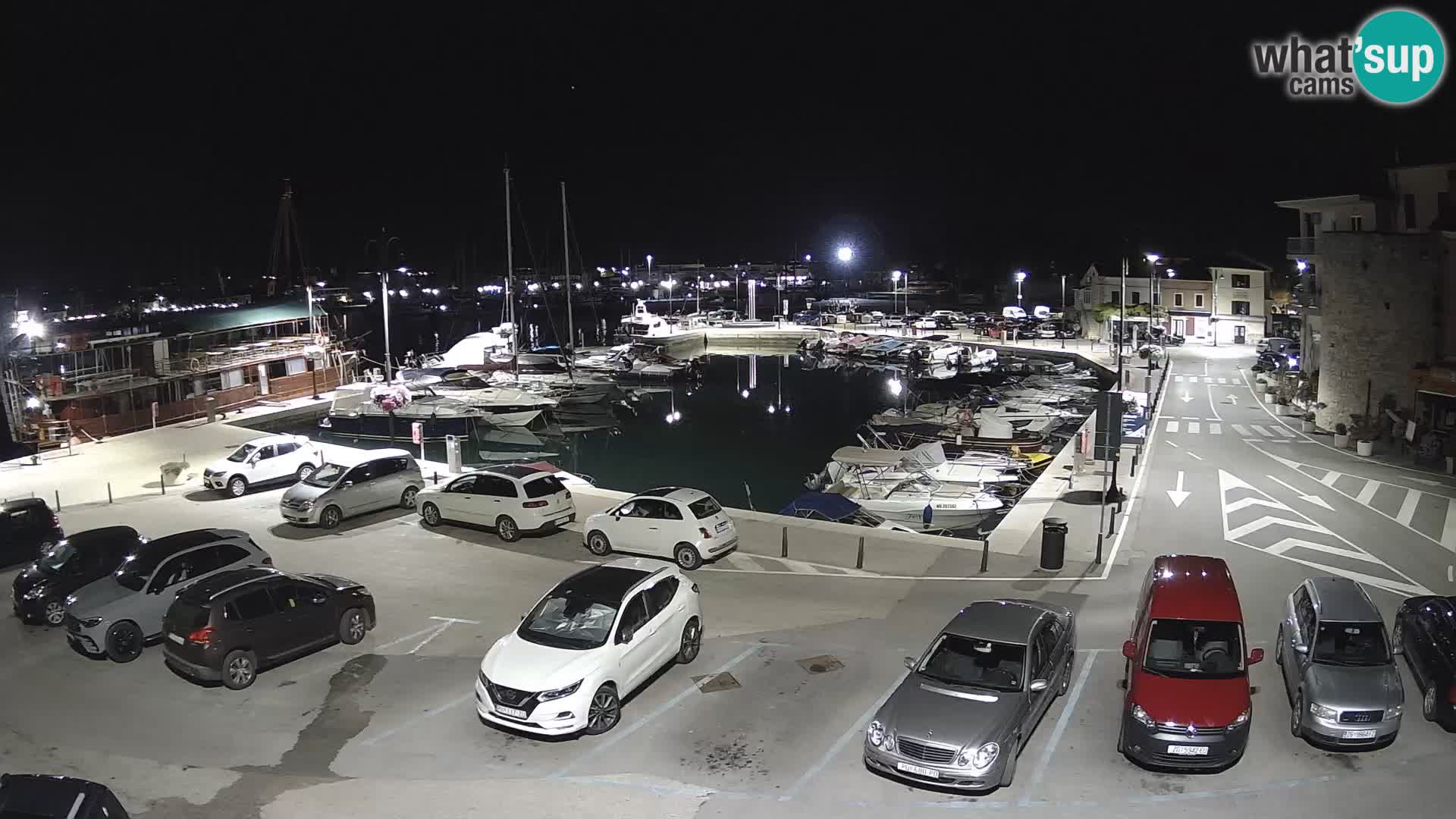 Novigrad | Porporela marina