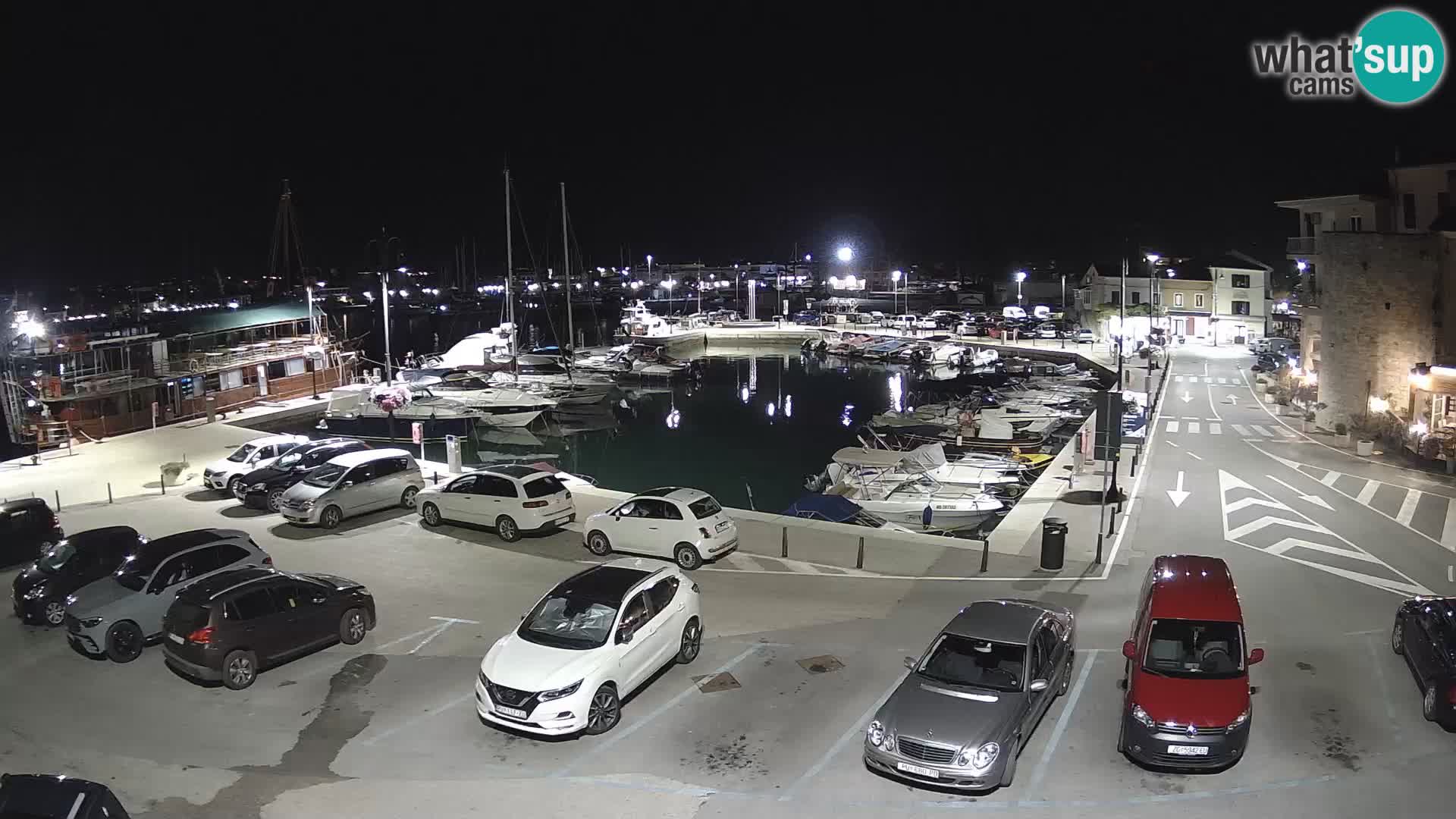 Novigrad | Porporela marina