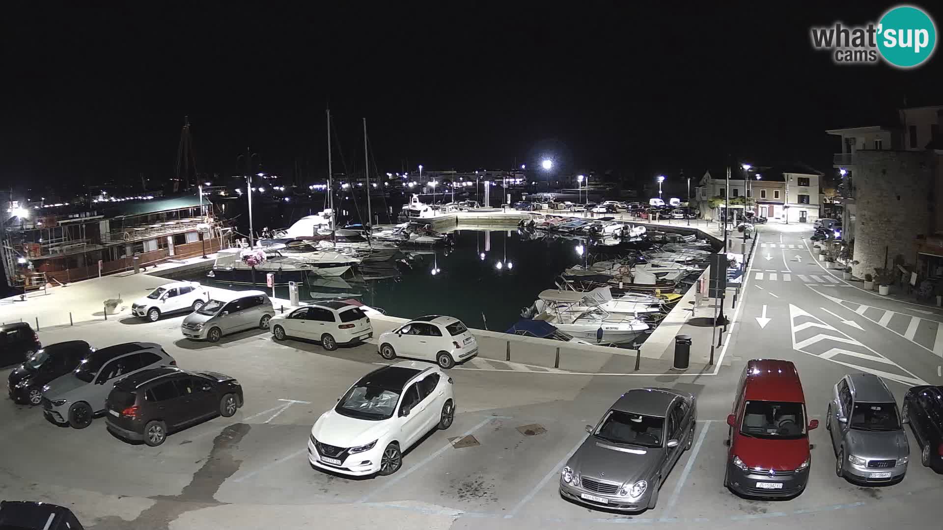 Novigrad | Porporela marina