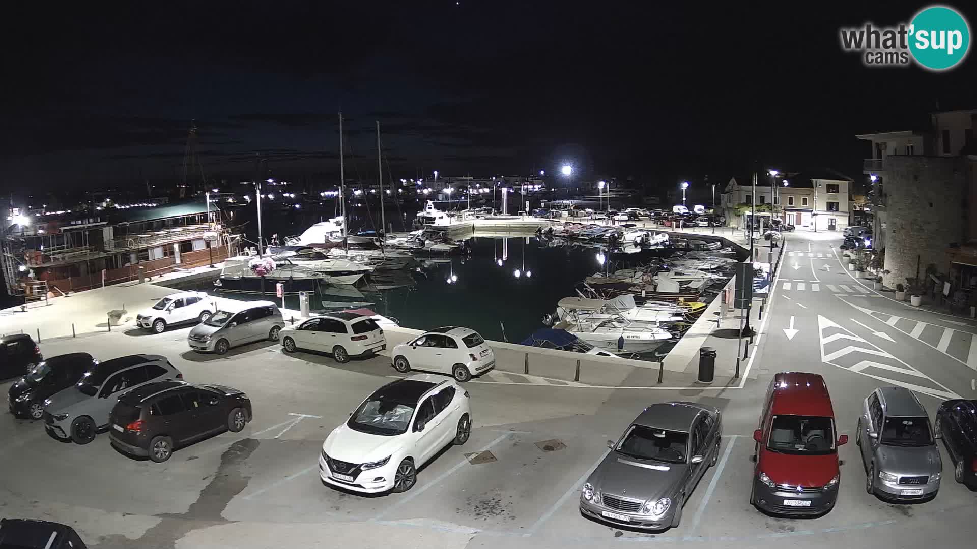 Novigrad | Porporela marina