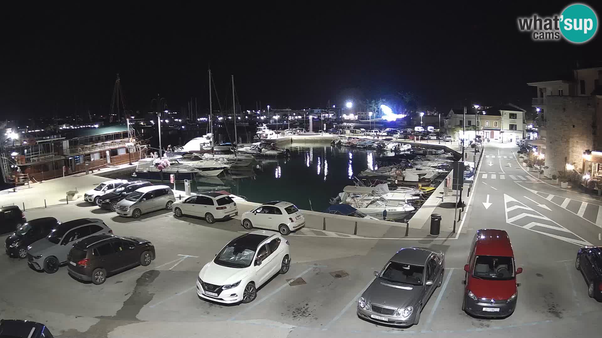 Novigrad | Porporela marina