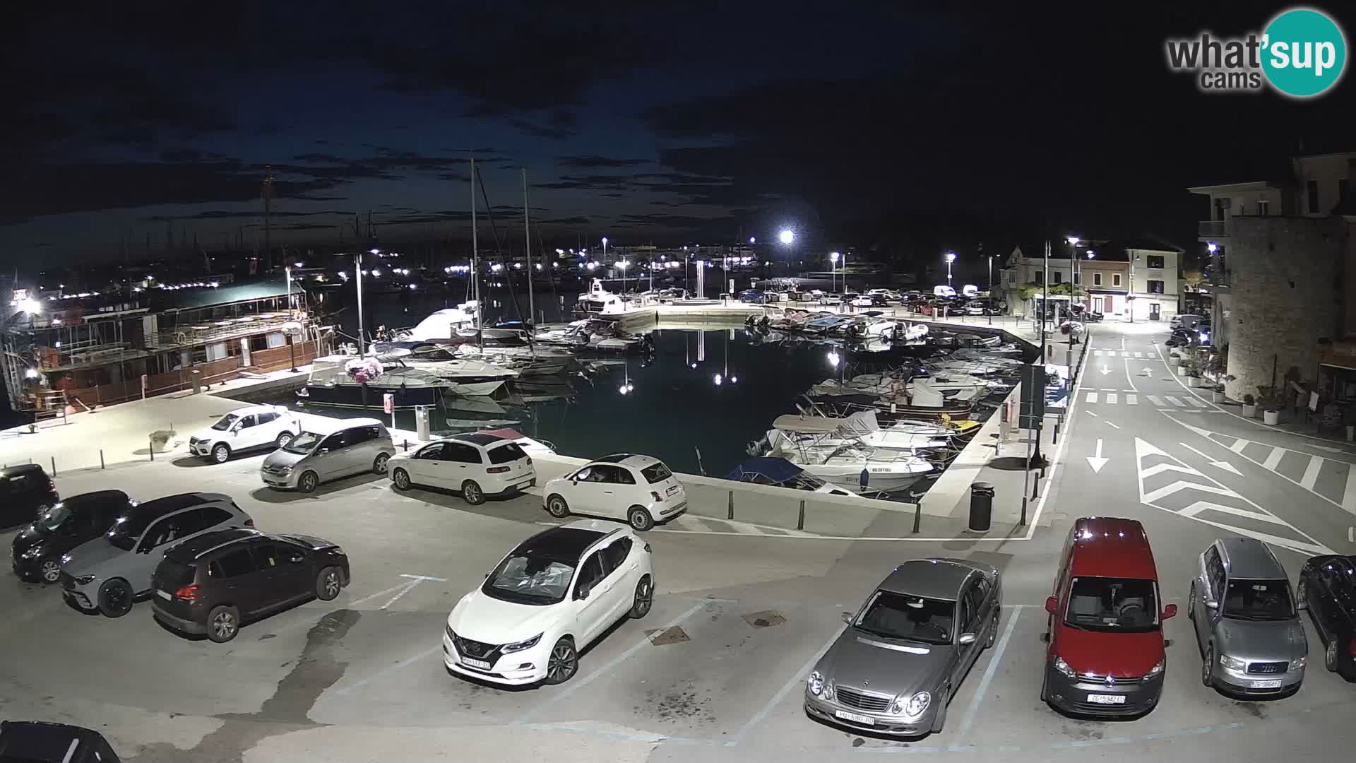 Novigrad | Porporela marina