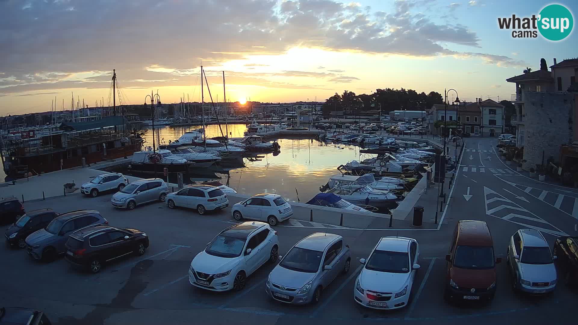 Novigrad | Porporela marina