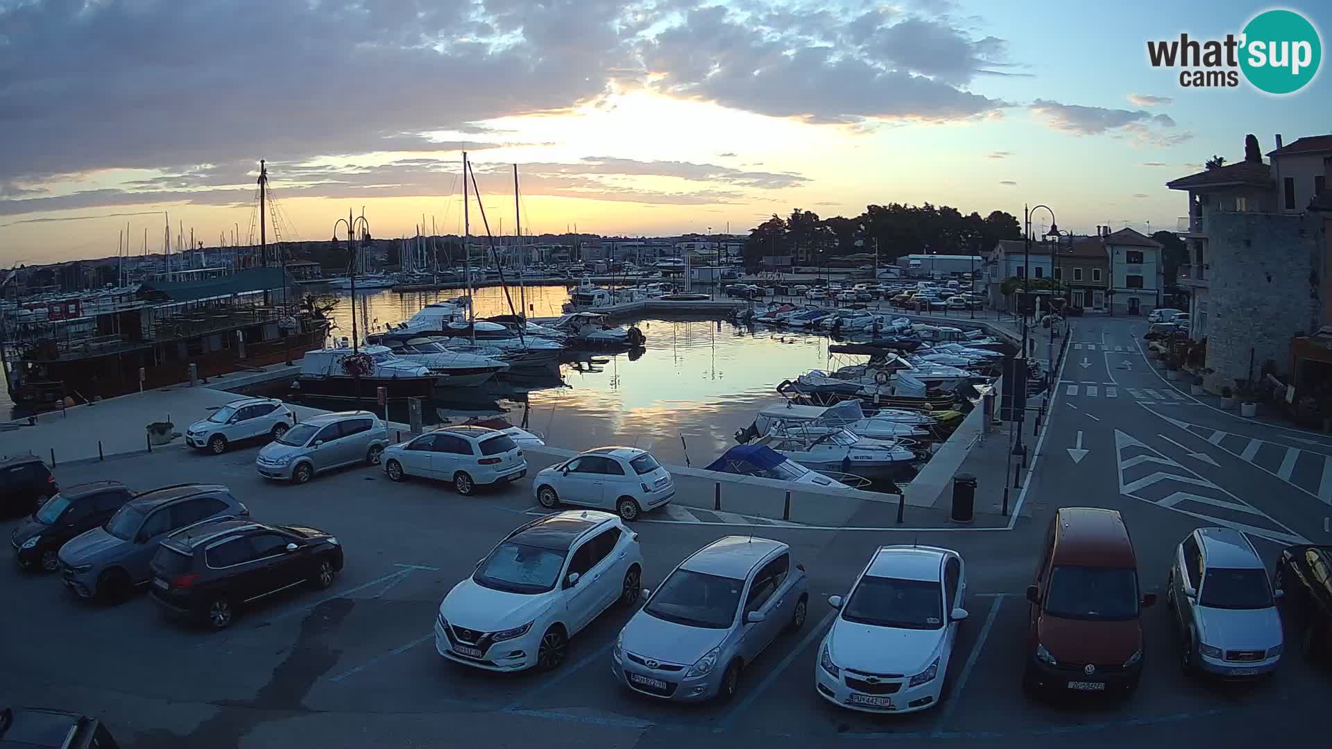 Novigrad | Porporela marina