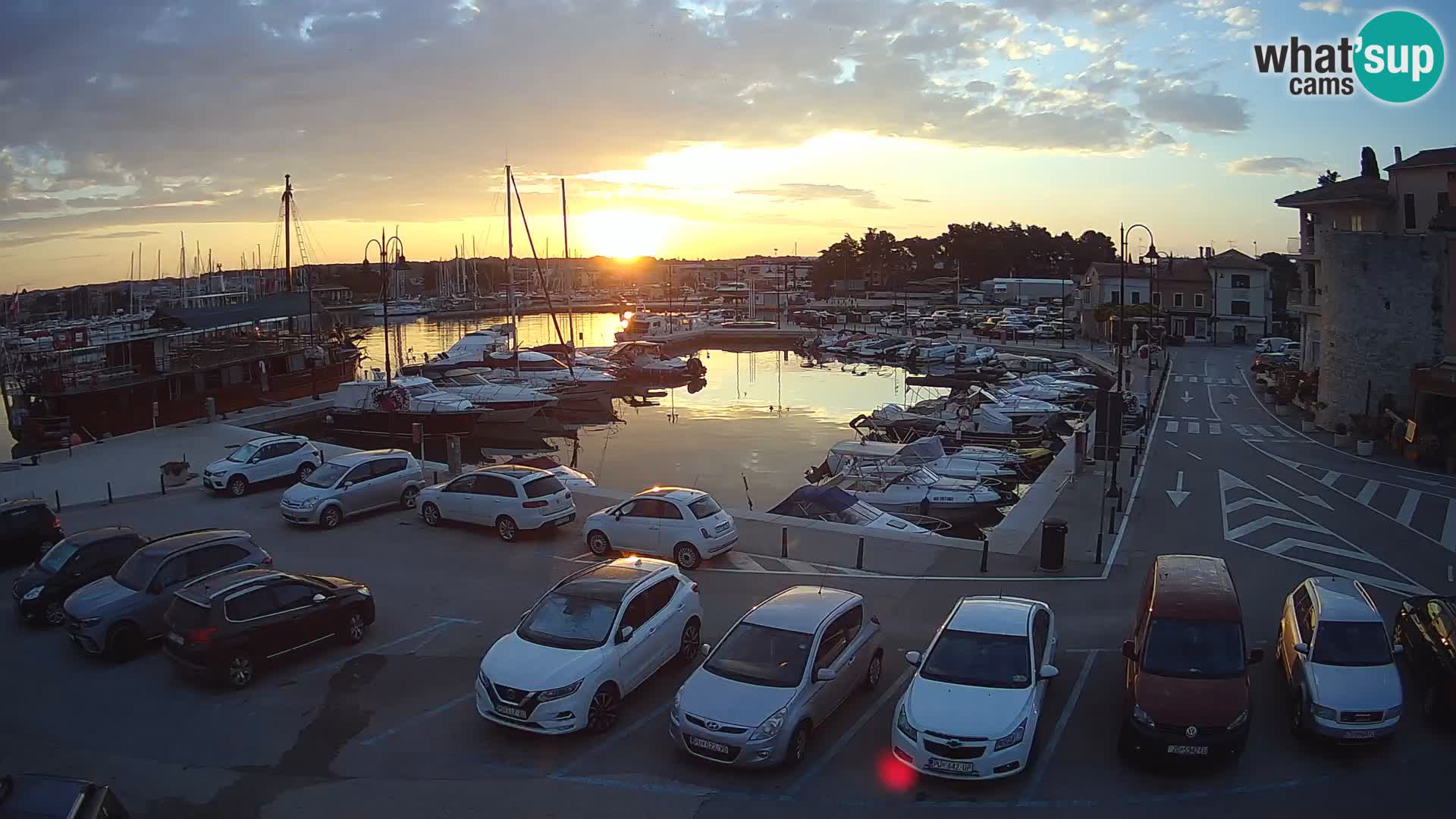 Novigrad | Porporela marina