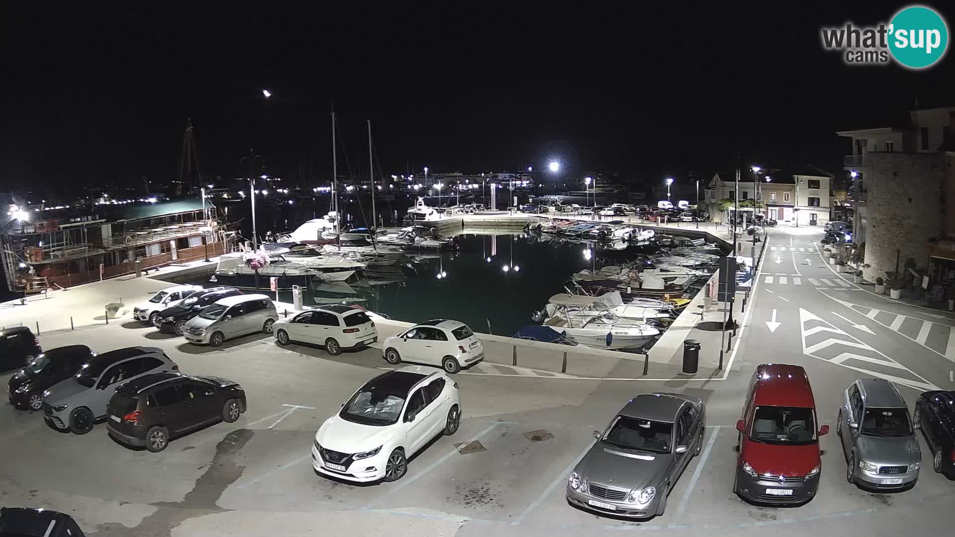 Novigrad | Porporela marina