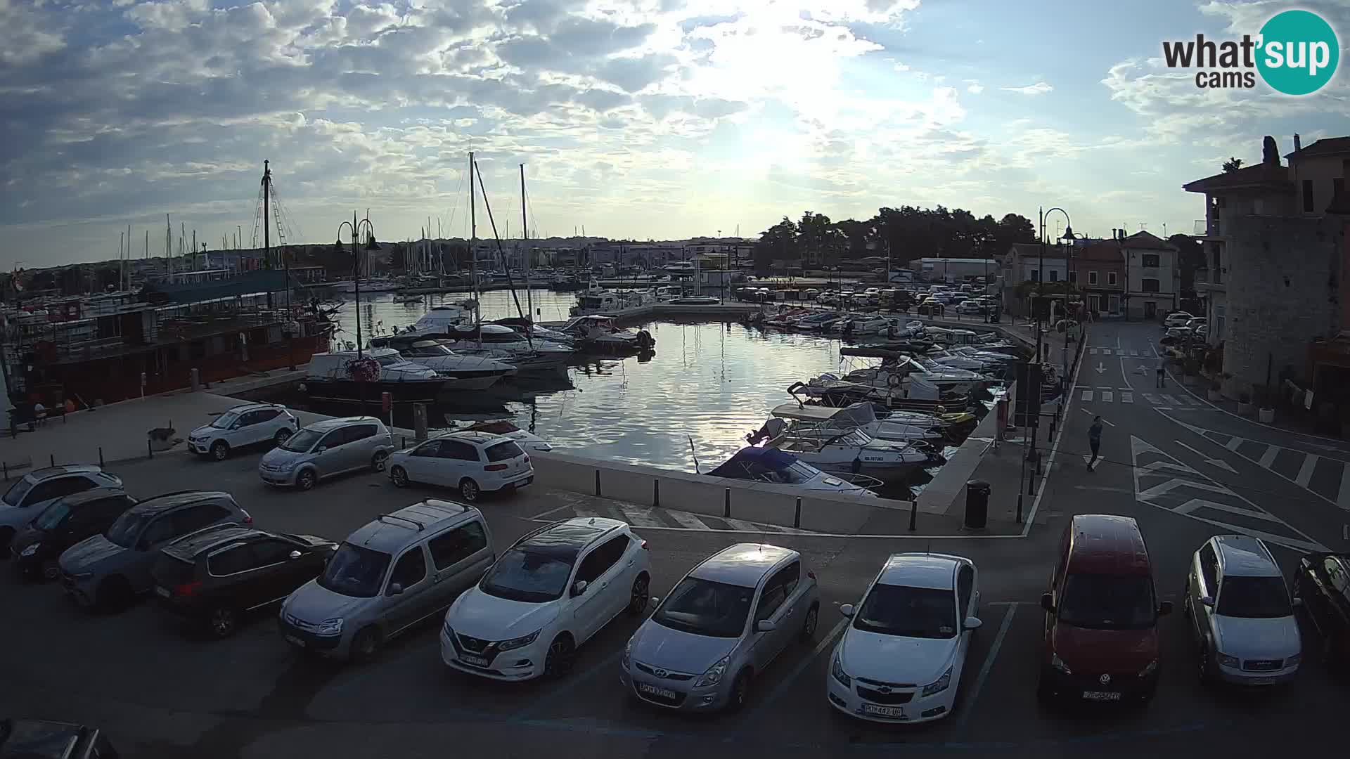 Novigrad | Porporela marina