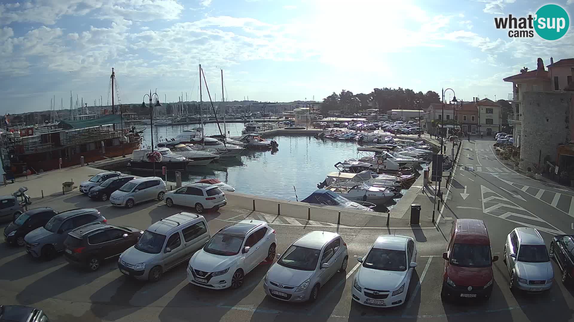 Novigrad | Porporela marina
