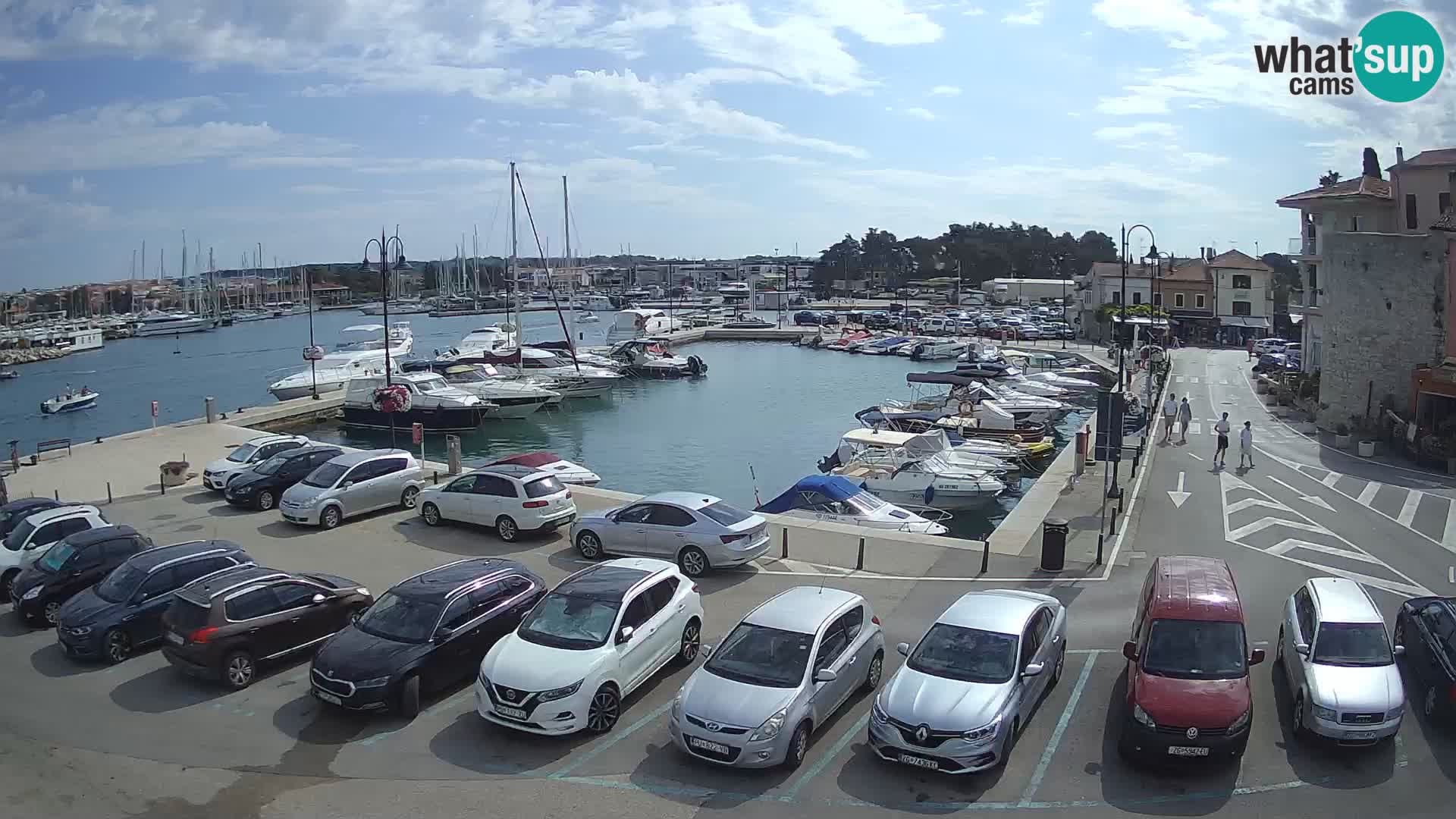 Novigrad | Porporela marina