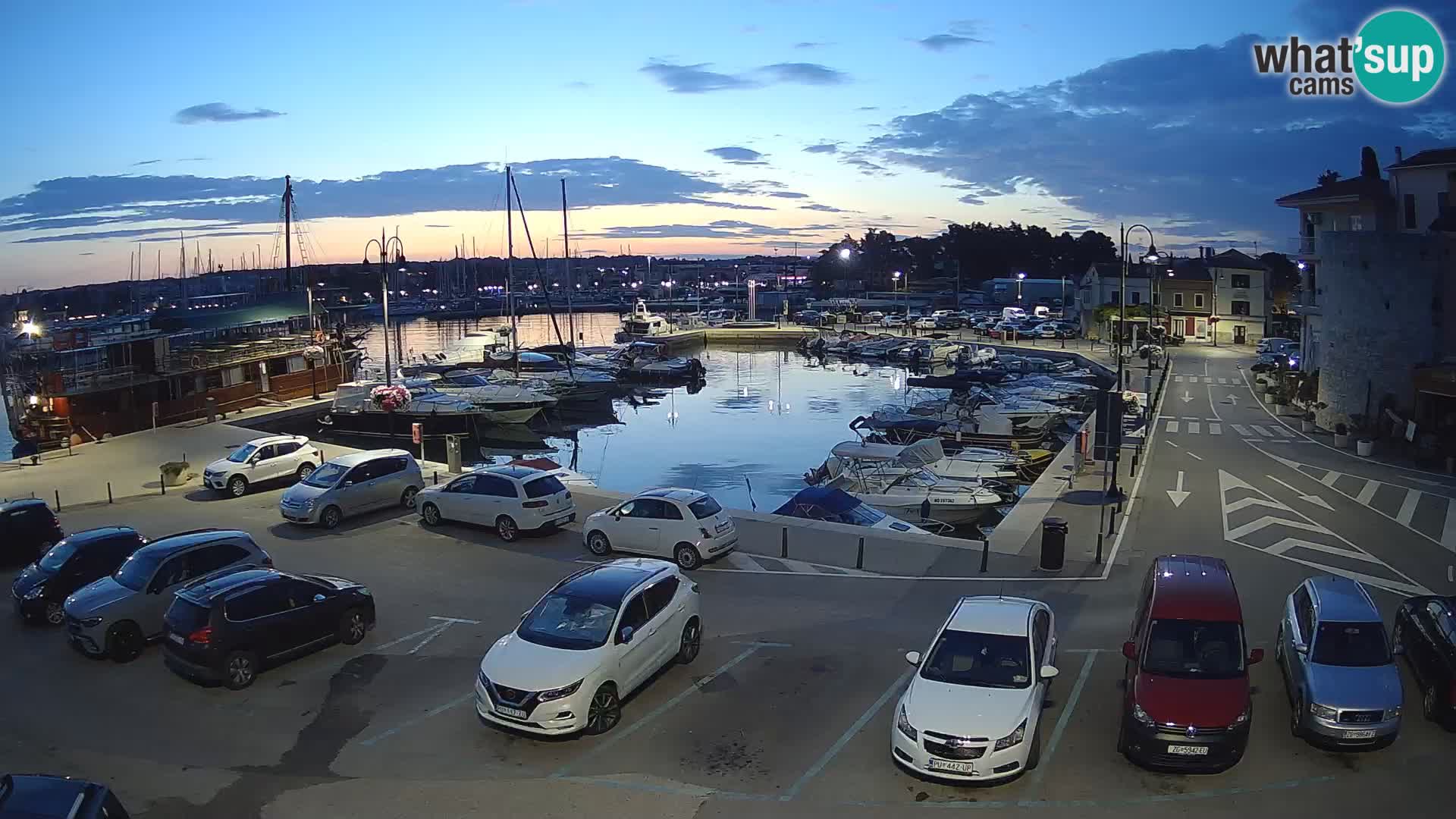 Novigrad | Porporela marina