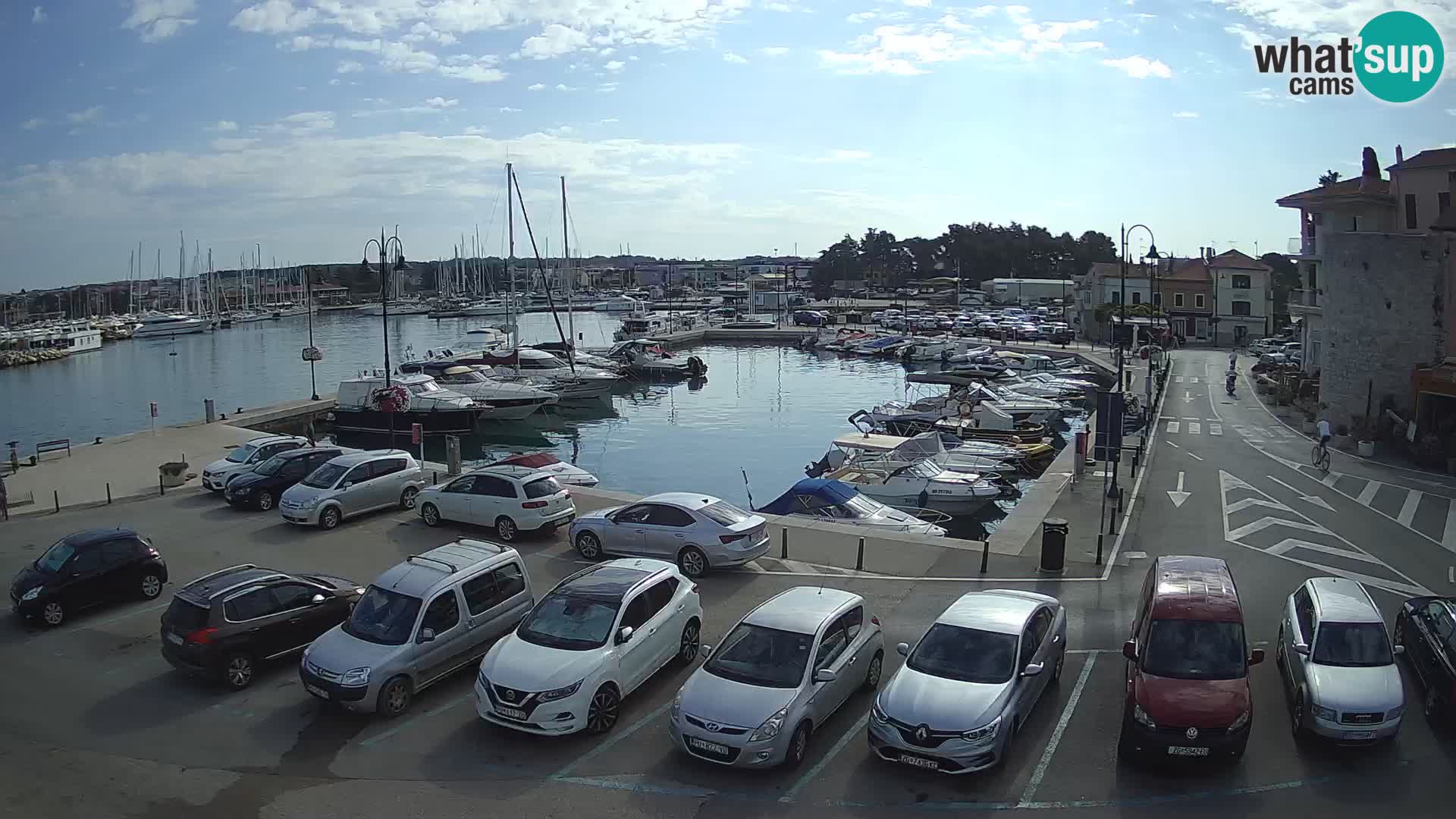 Novigrad | Porporela marina