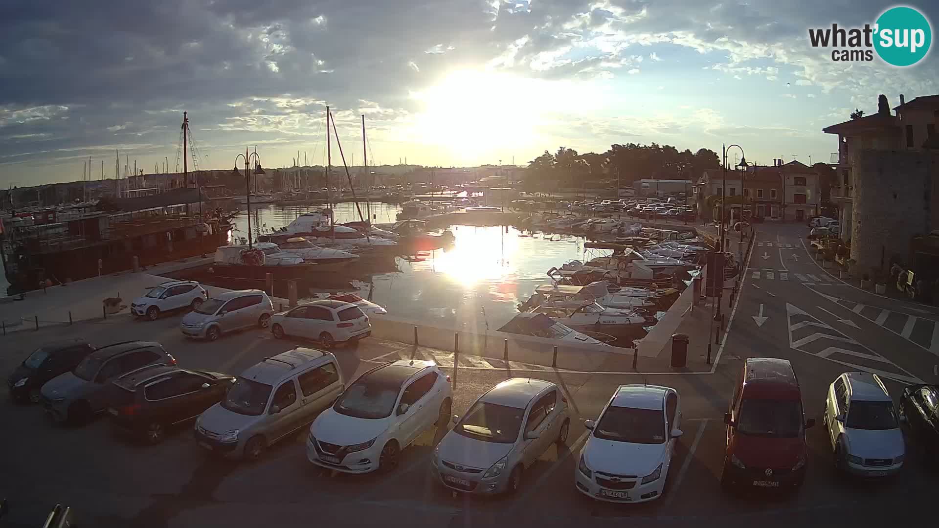 Novigrad | Porporela marina