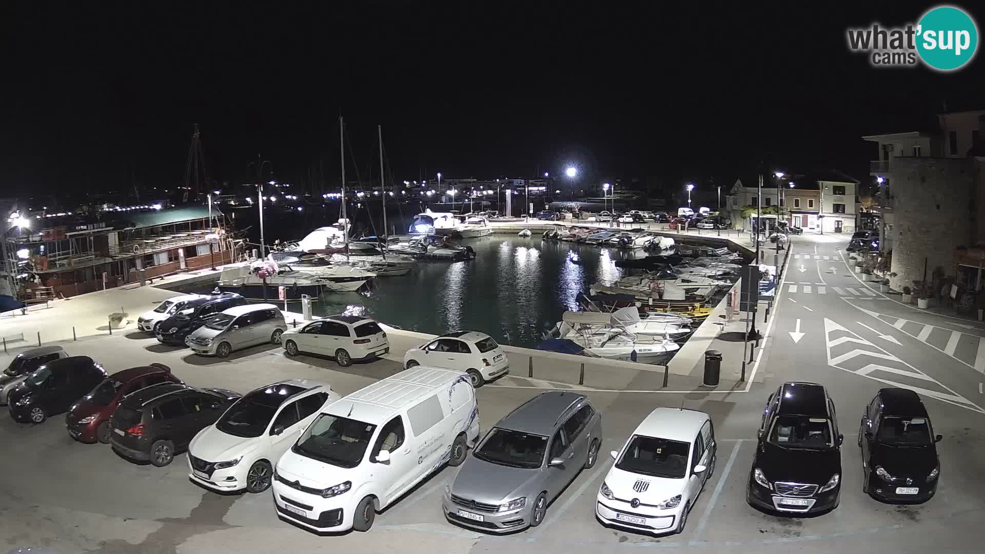 Novigrad | Porporela marina