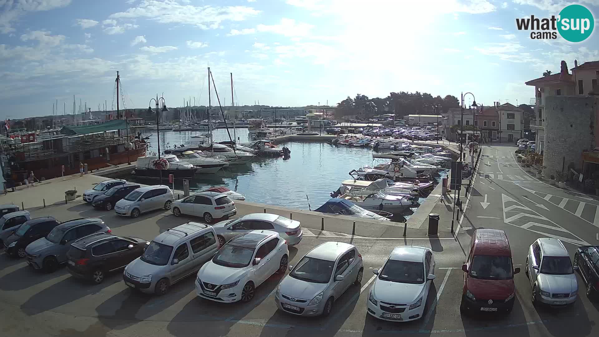 Novigrad | Porporela marina