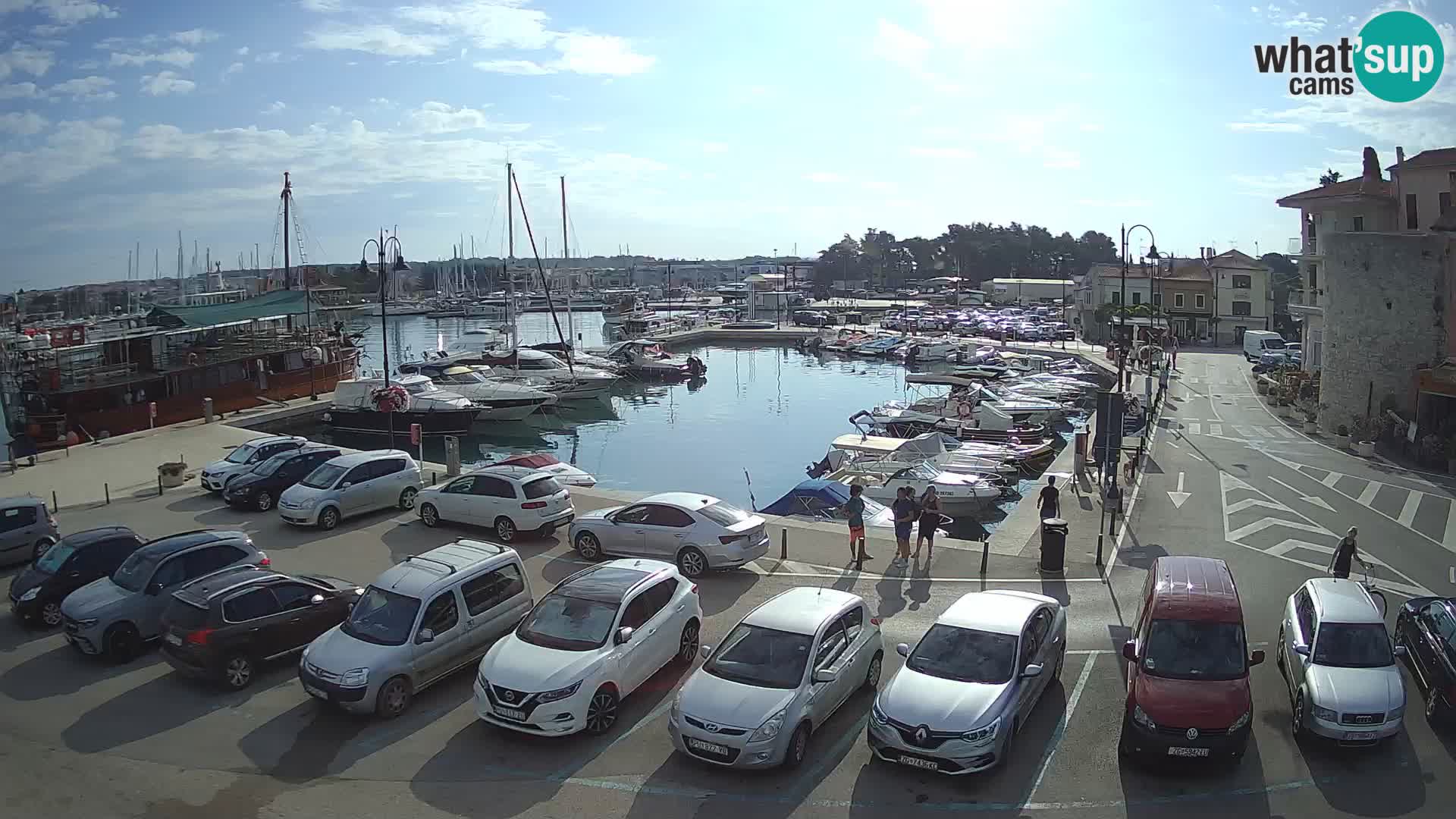 Novigrad | Porporela marina