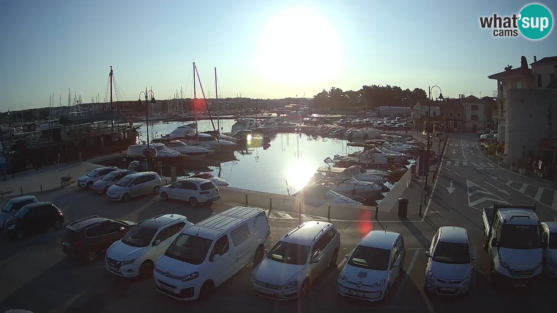 Novigrad | Porporela marina
