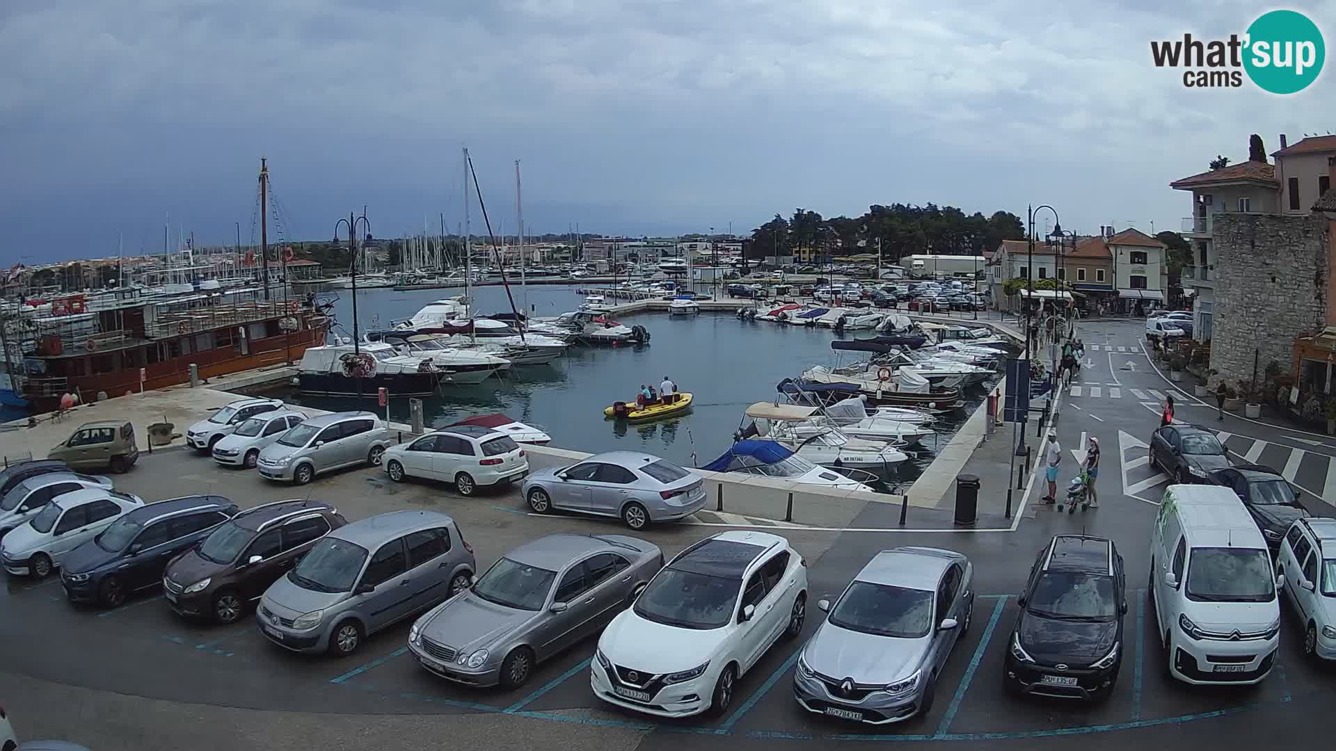 Novigrad | Porporela marina