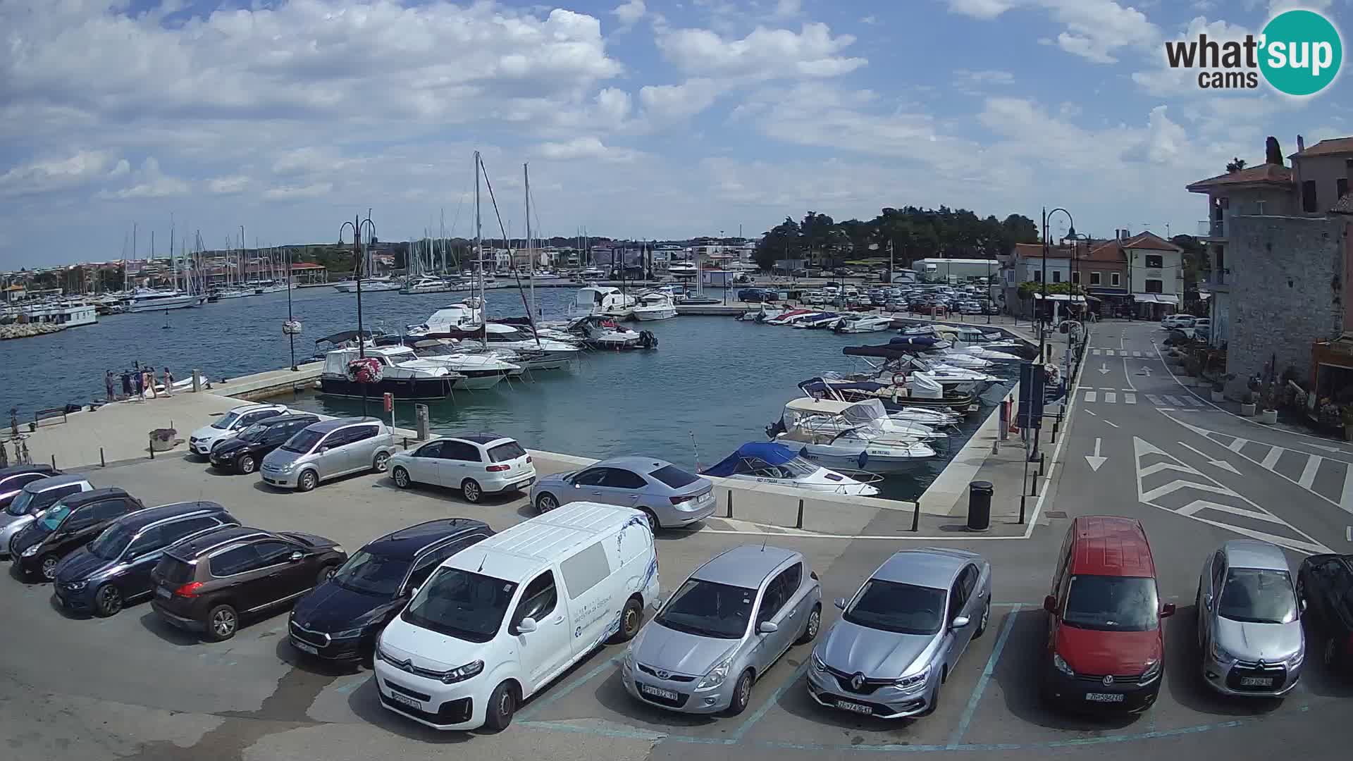 Novigrad | Porporela marina