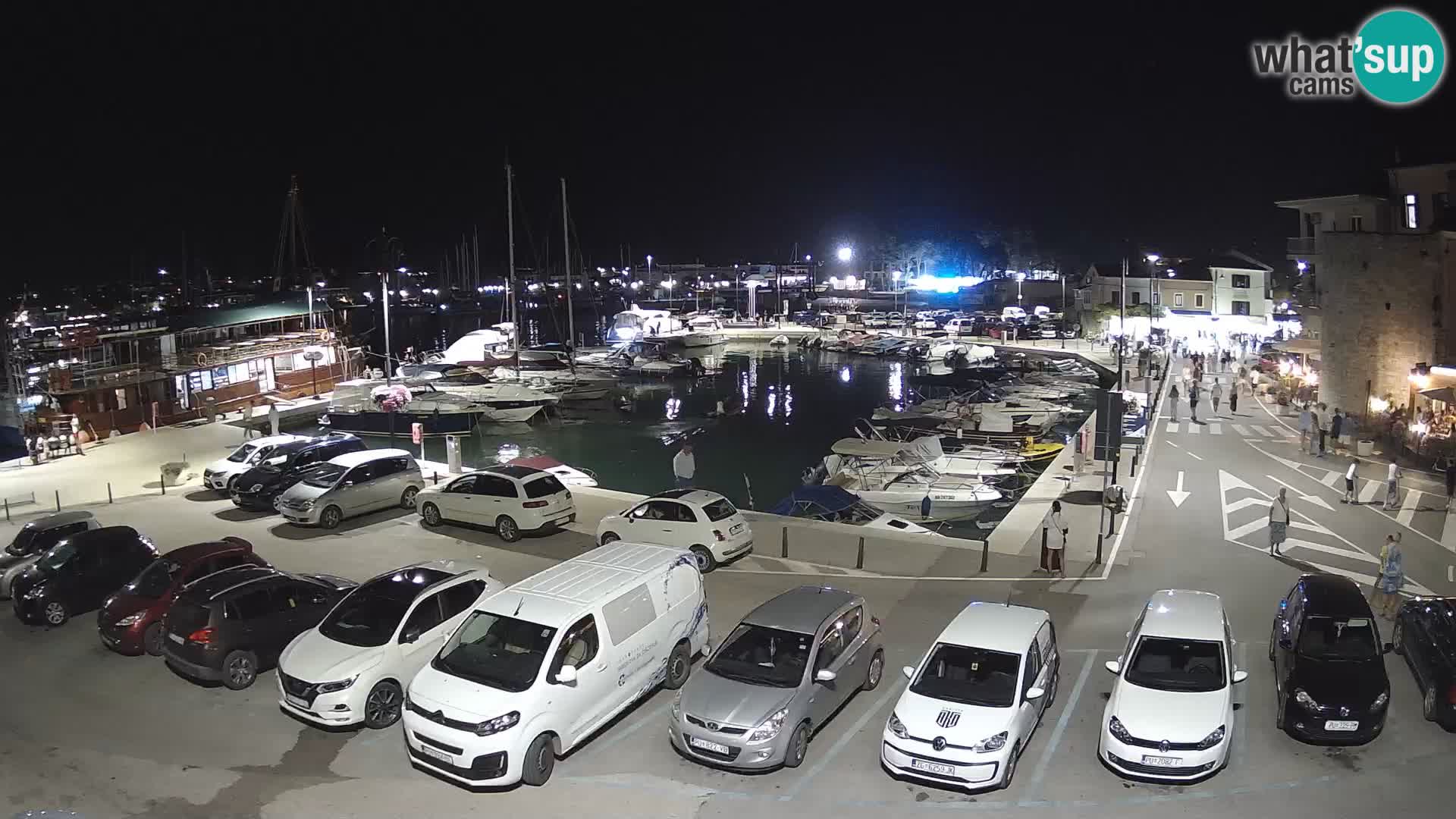 Novigrad | Porporela marina