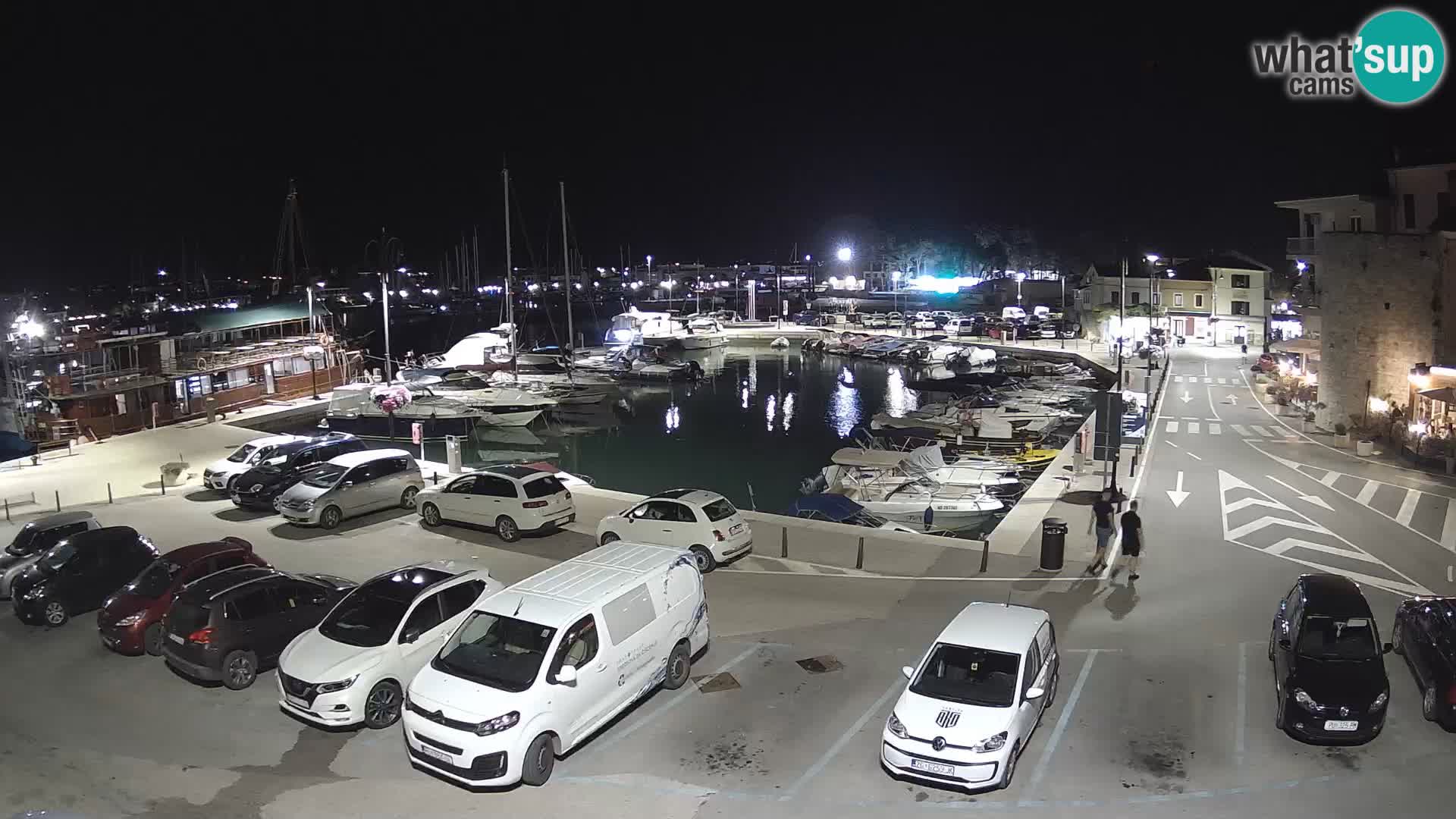 Novigrad | Porporela marina
