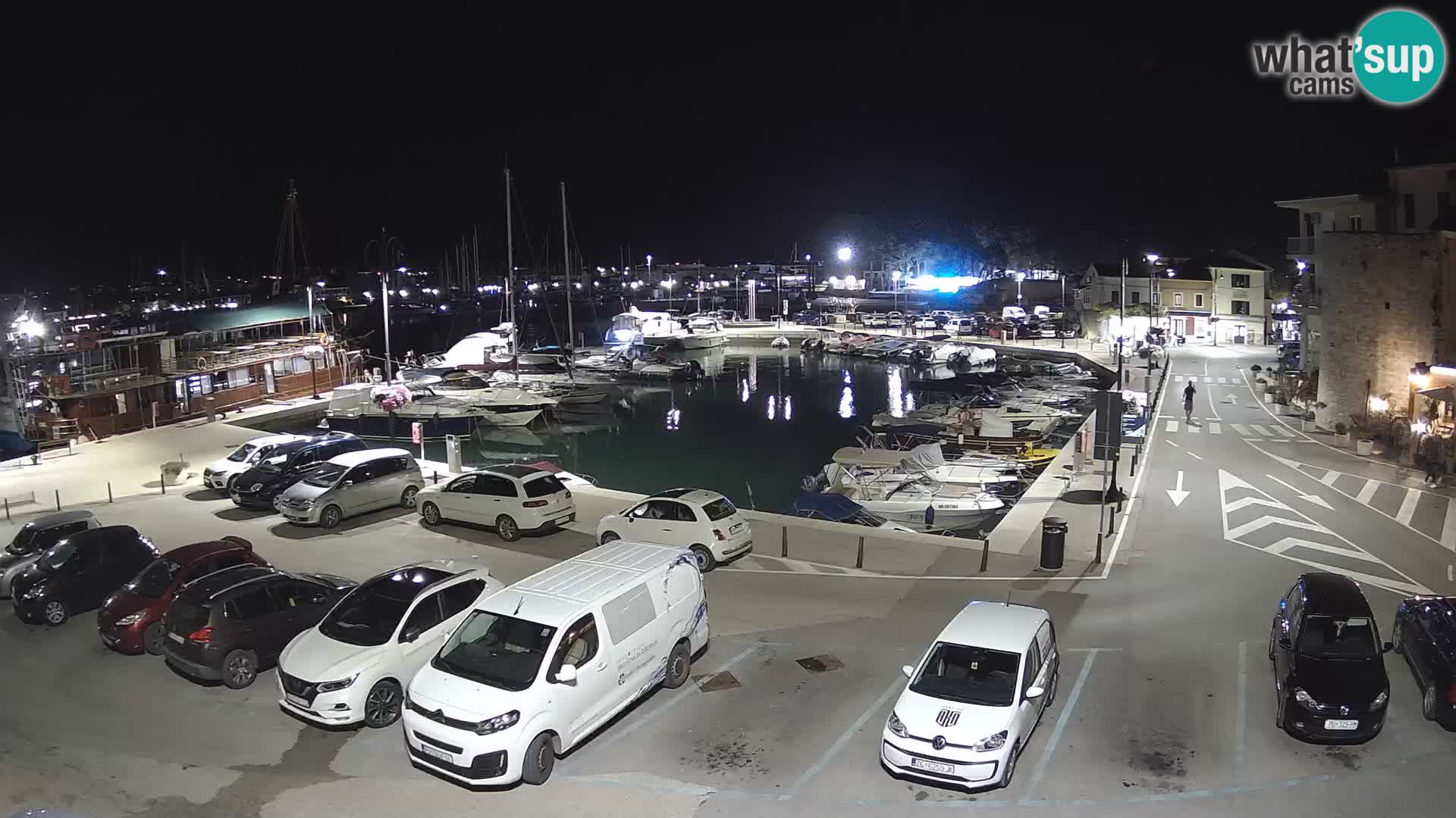 Novigrad | Porporela marina