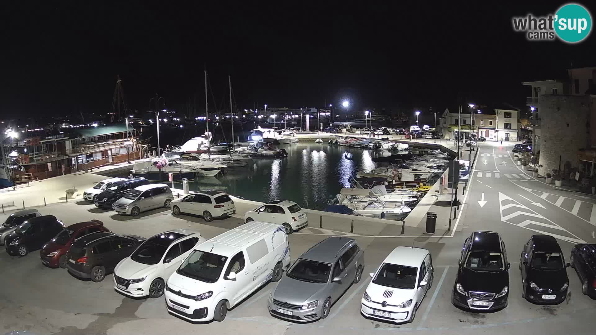 Novigrad | Porporela marina