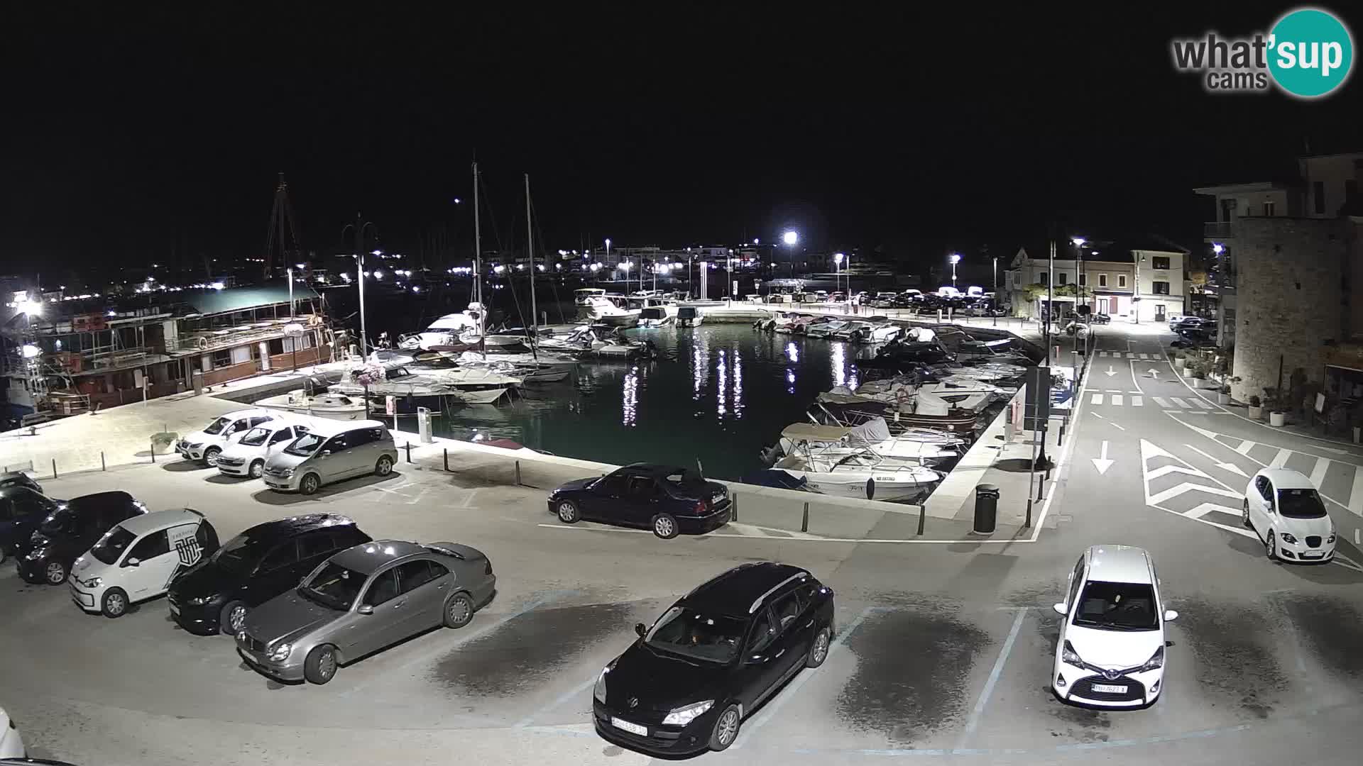 Novigrad | Porporela marina