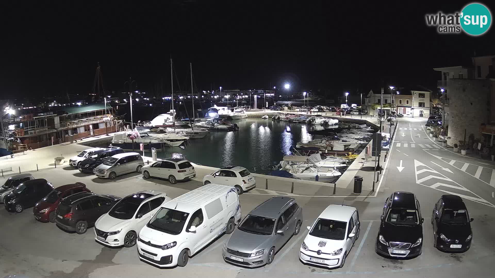 Novigrad | Porporela marina