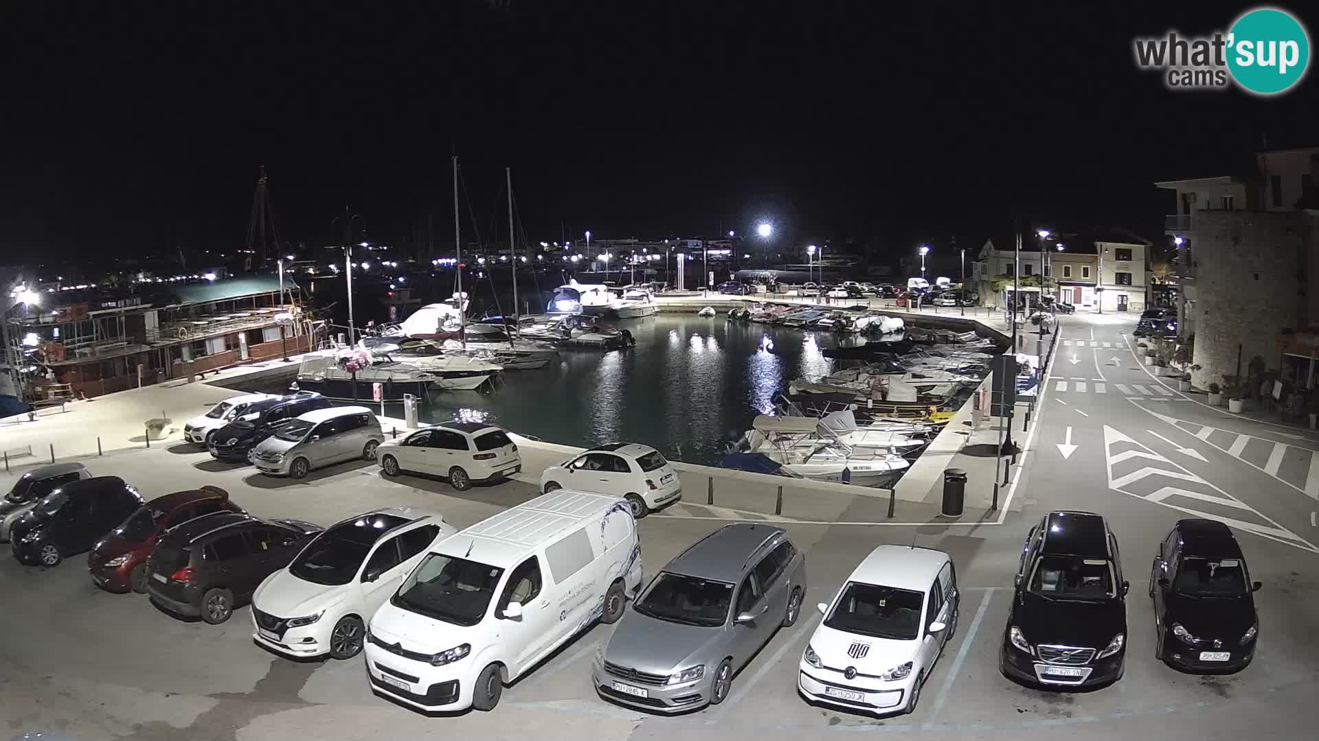 Novigrad | Porporela marina