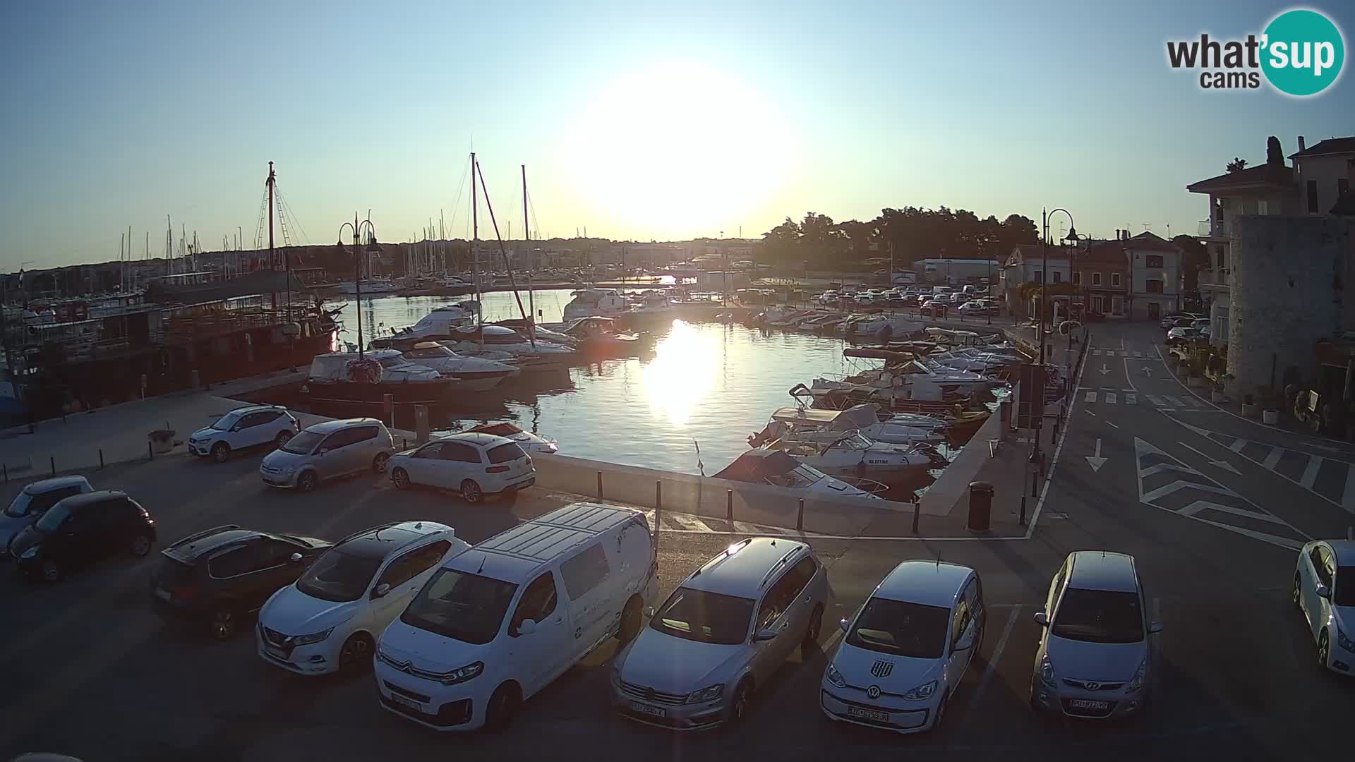 Novigrad | Porporela marina