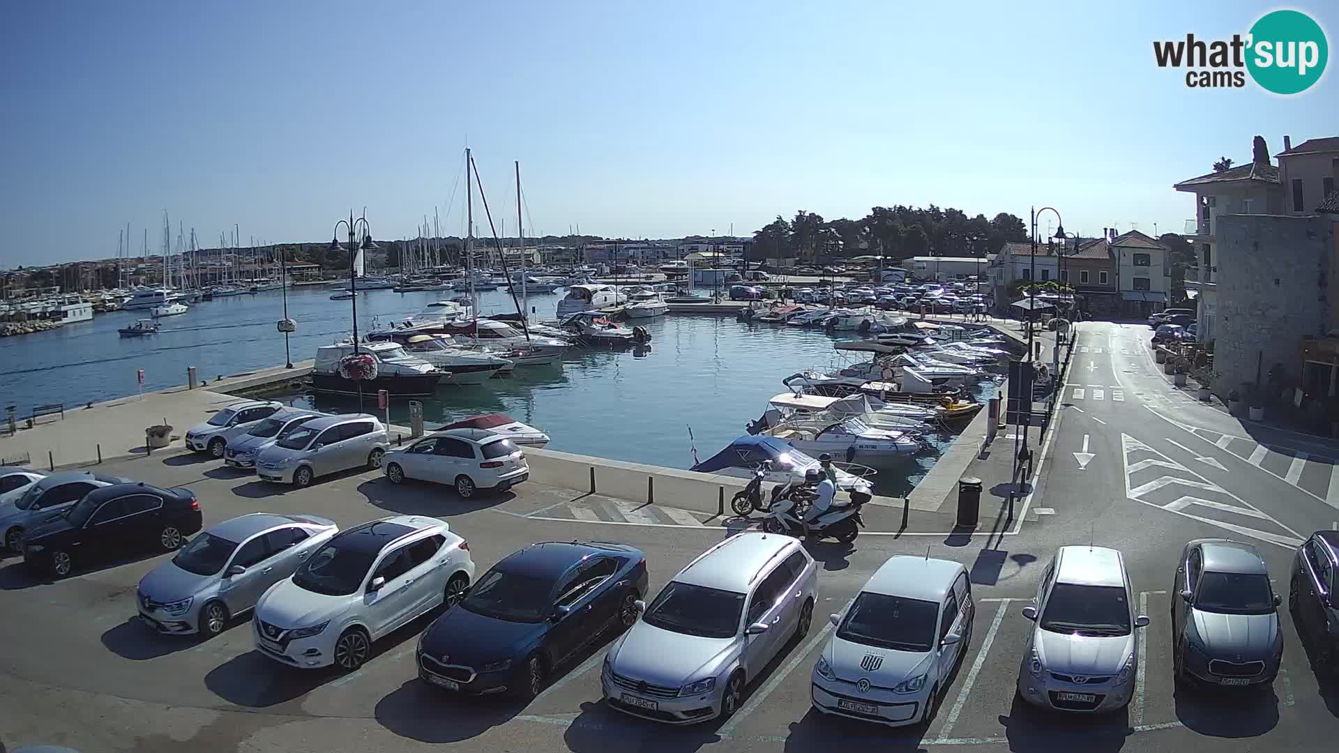 Novigrad | Porporela marina