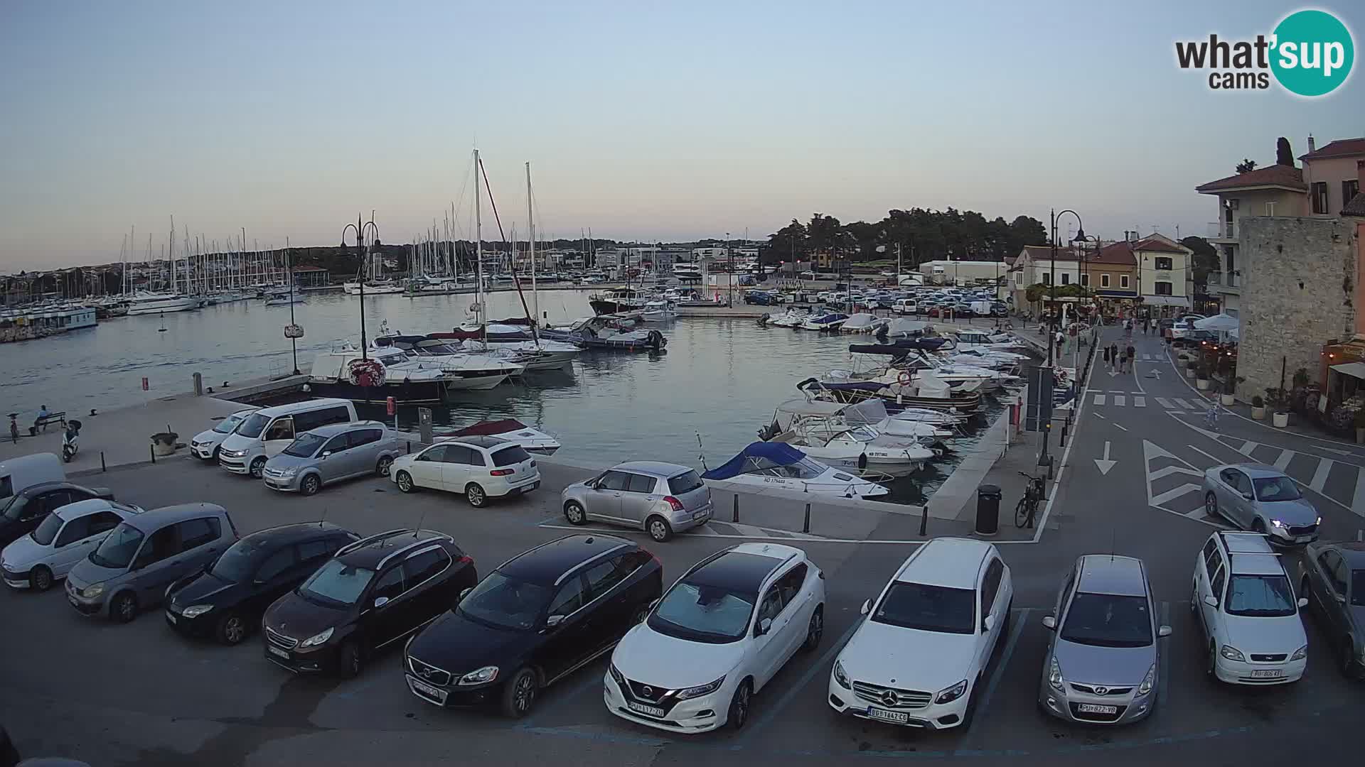 Novigrad | Porporela marina