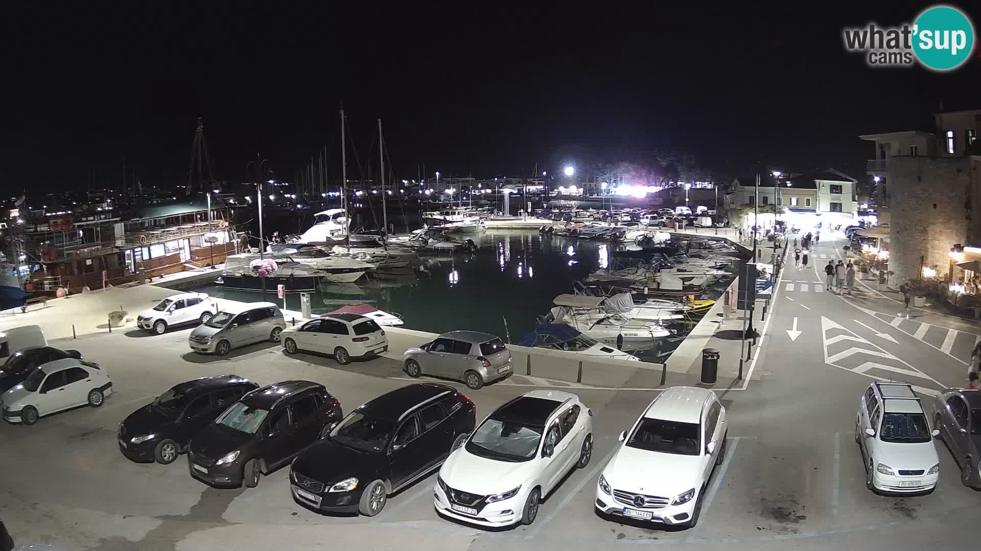Novigrad | Porporela marina
