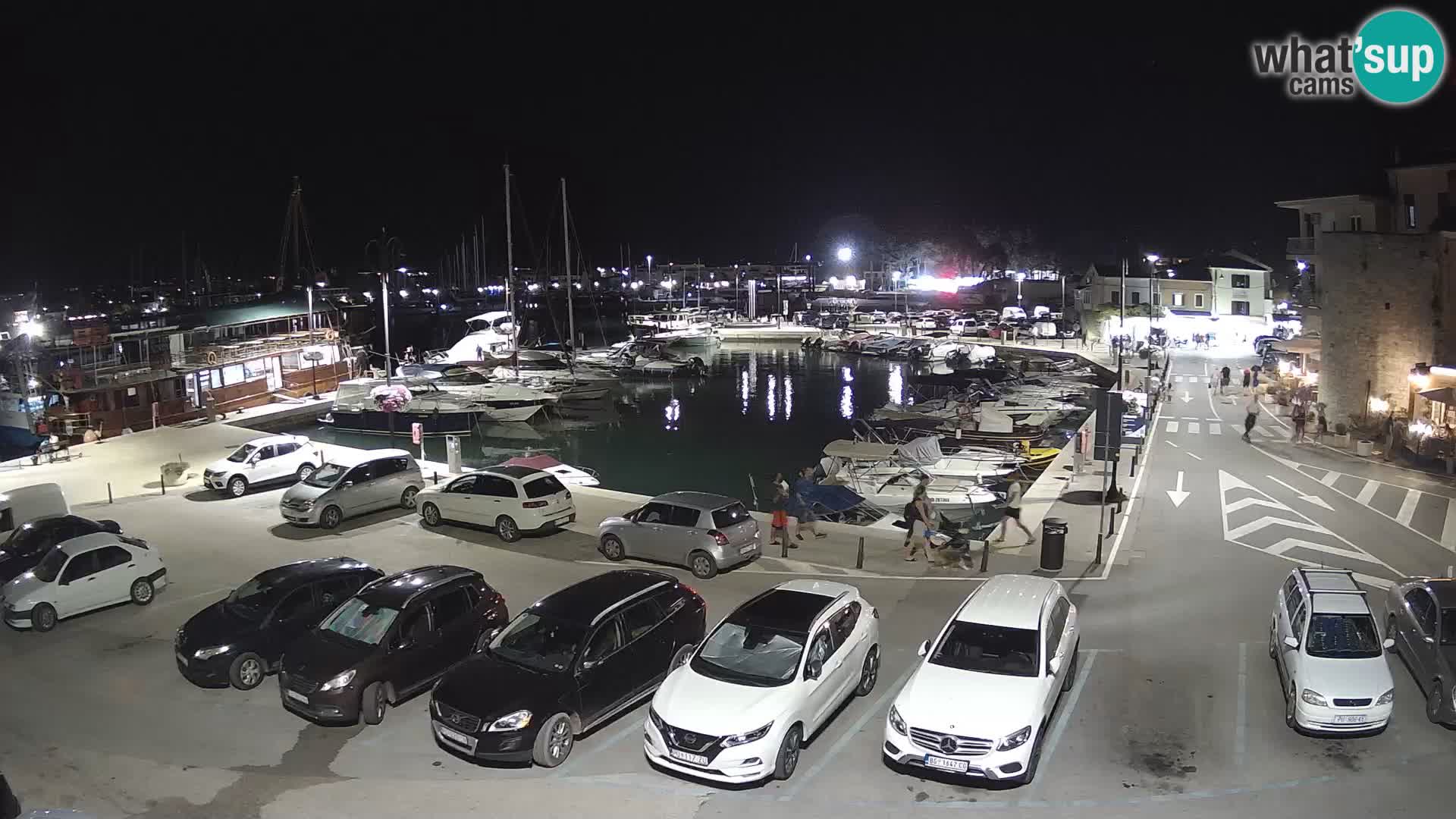 Novigrad | Porporela marina