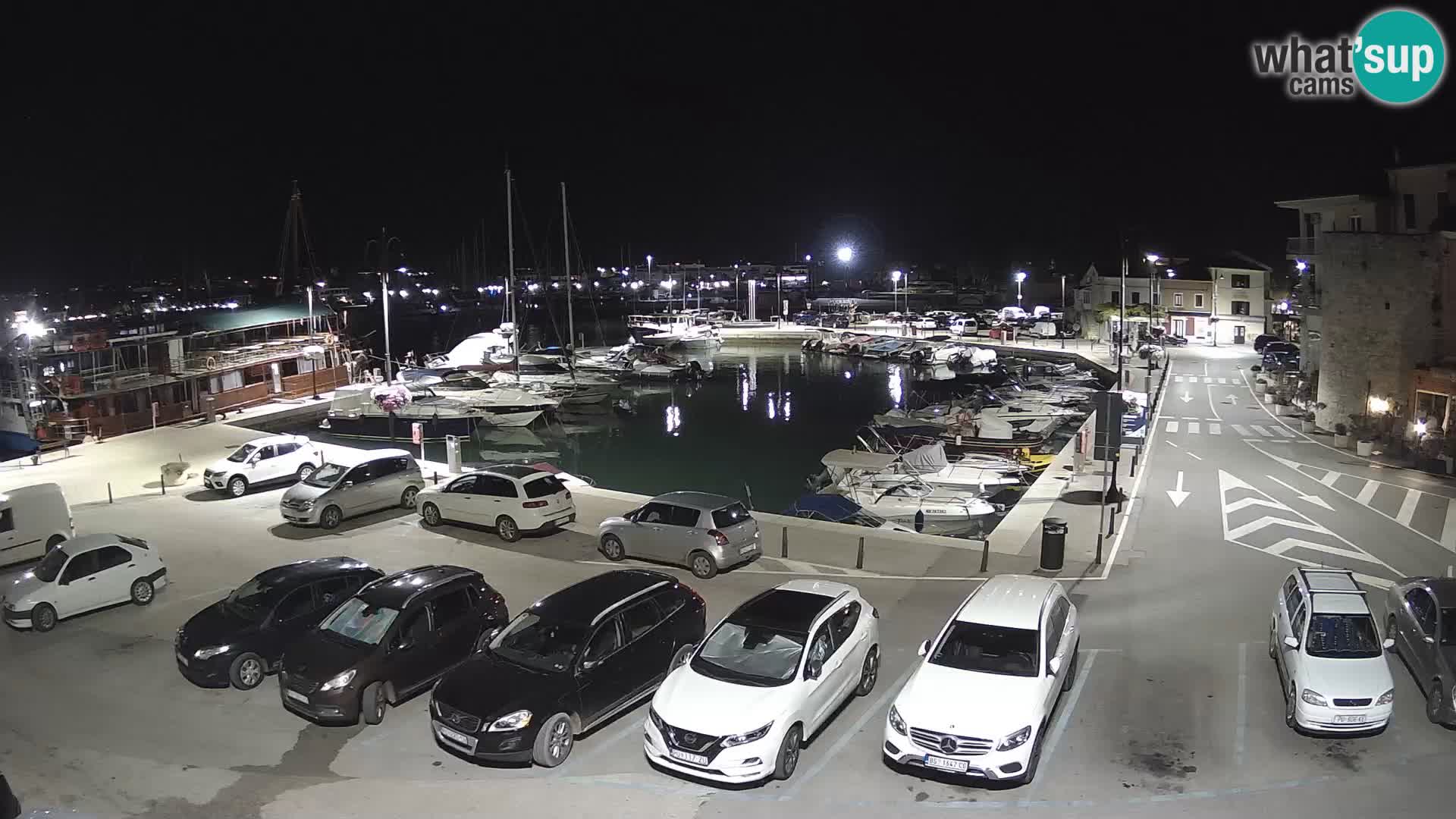 Novigrad | Porporela marina