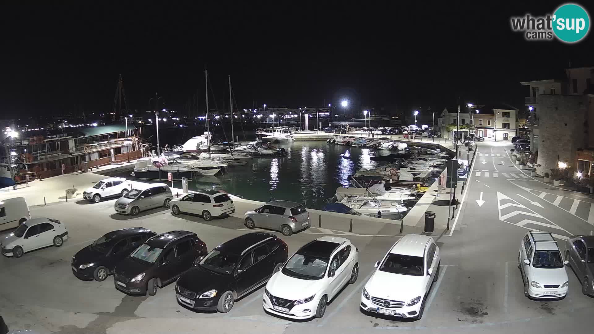 Novigrad | Porporela marina