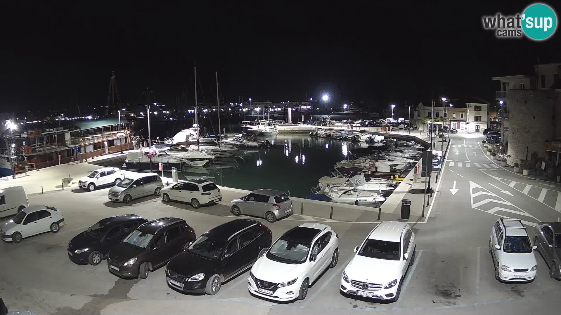 Novigrad | Porporela marina