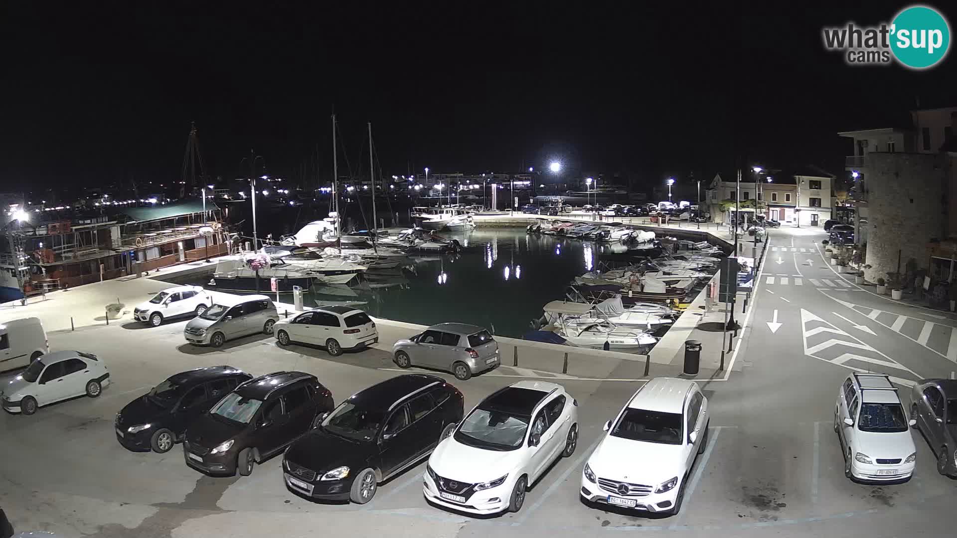 Novigrad | Porporela marina