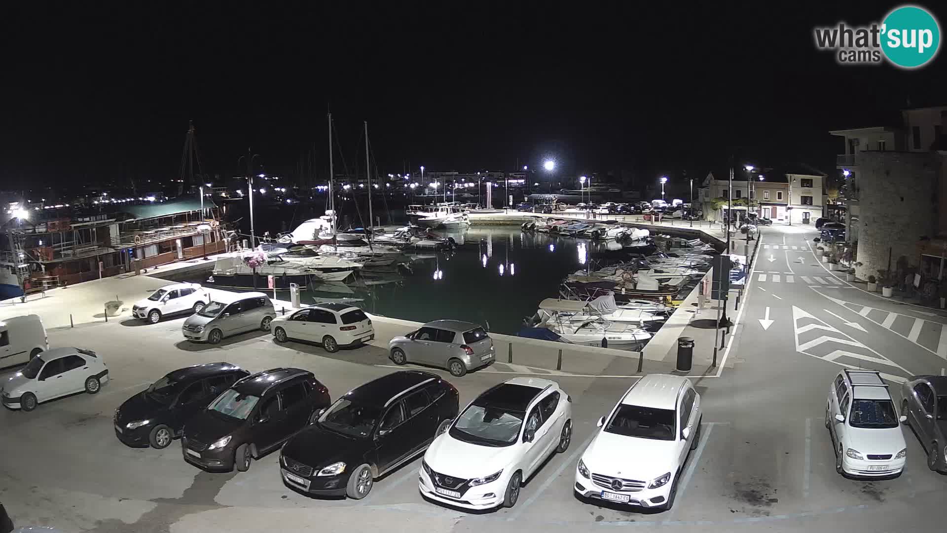 Novigrad | Porporela marina