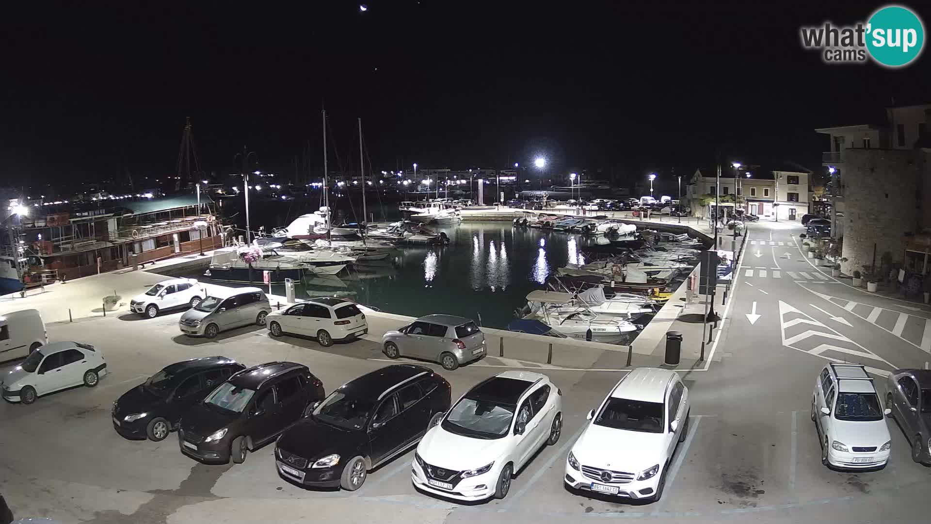 Novigrad | Porporela marina