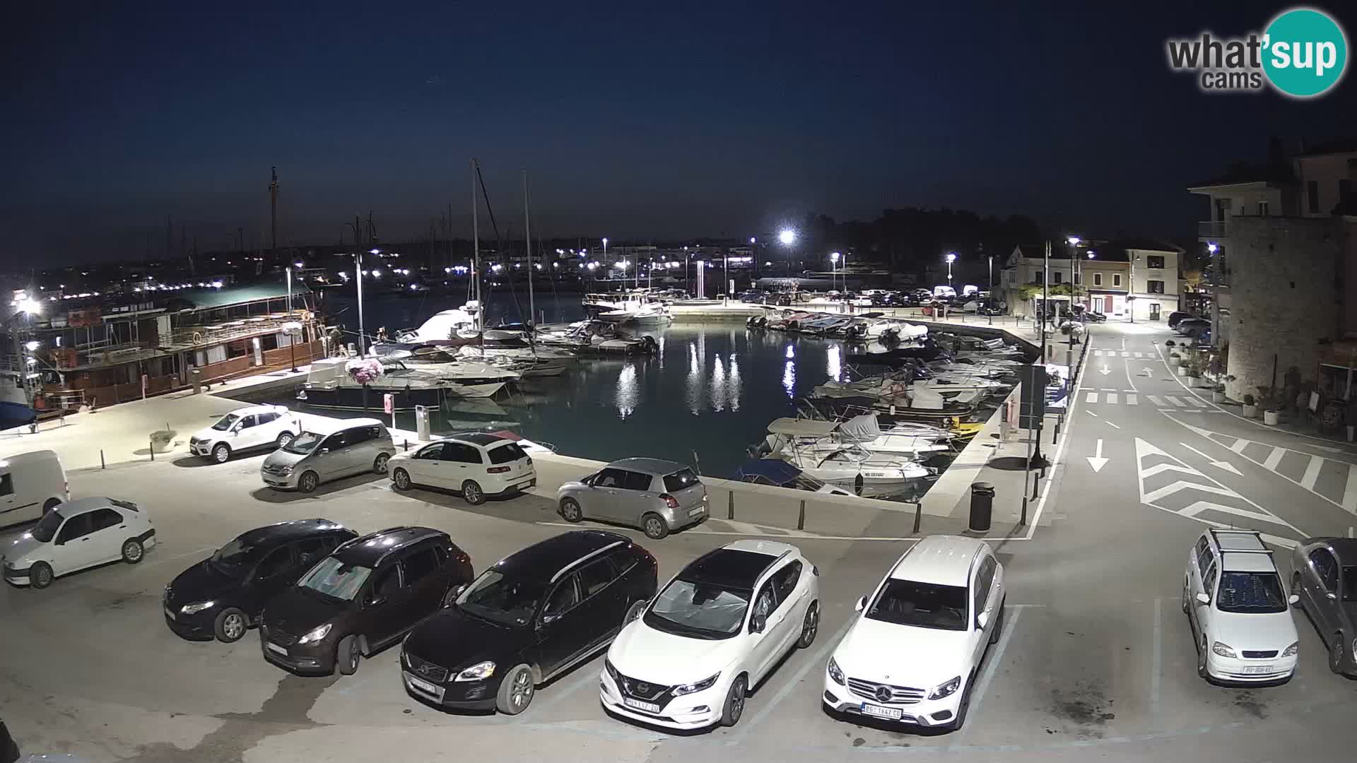 Novigrad | Porporela marina