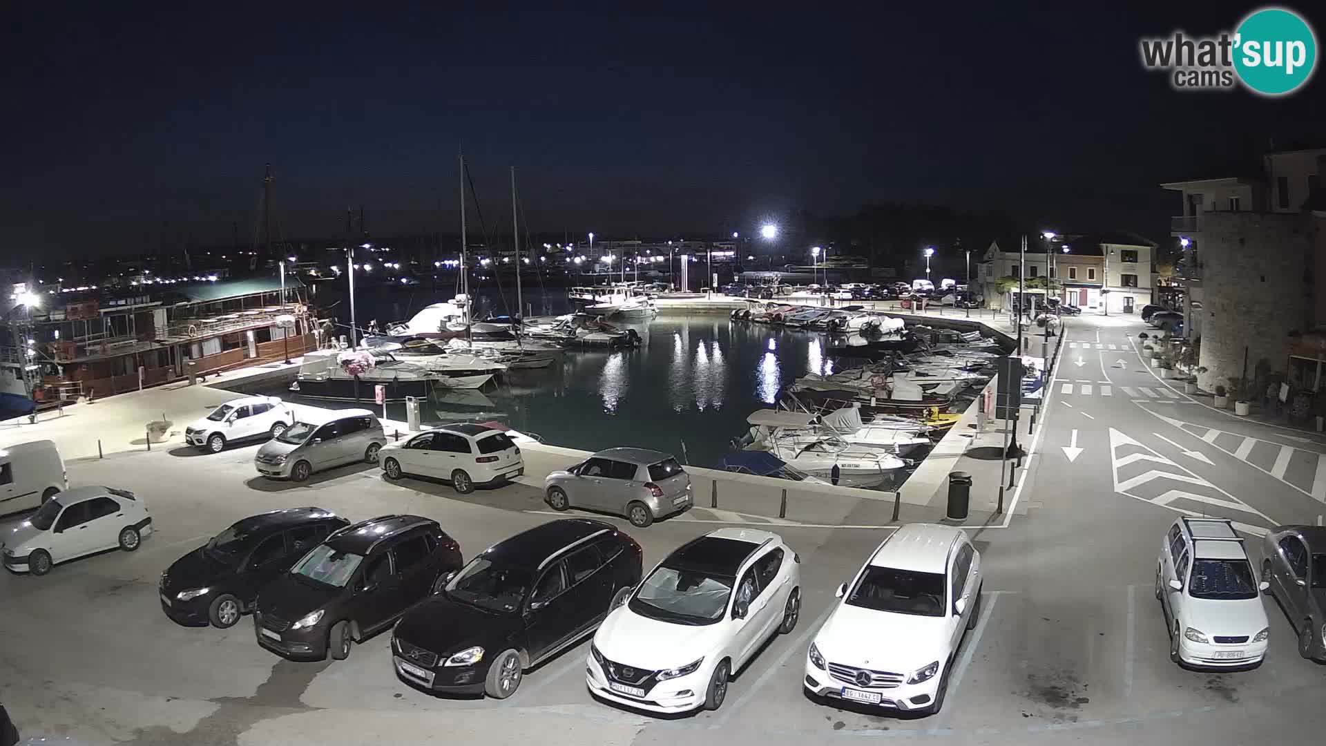 Novigrad | Porporela marina